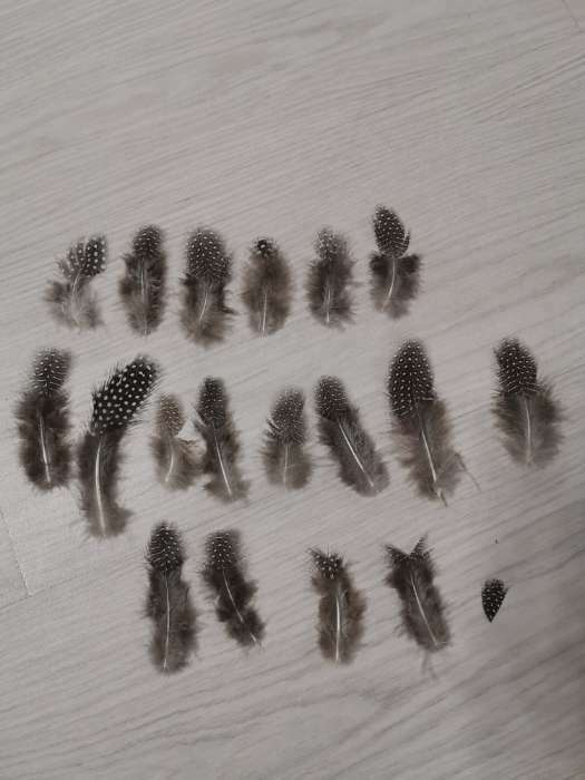 Фотография покупателя товара Набор перьев для творчества 20 шт (6-8 см), серый - Фото 3