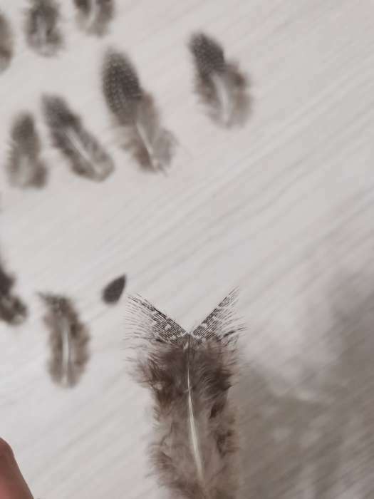 Фотография покупателя товара Набор перьев для творчества 20 шт (6-8 см), серый - Фото 2