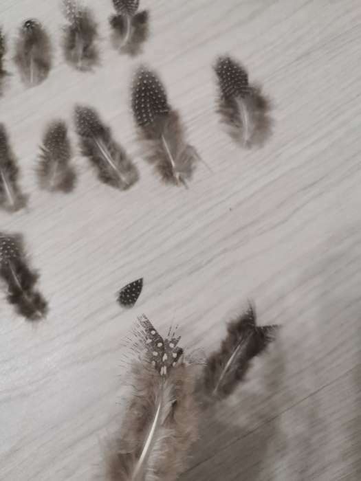 Фотография покупателя товара Набор перьев для творчества 20 шт (6-8 см), серый - Фото 4