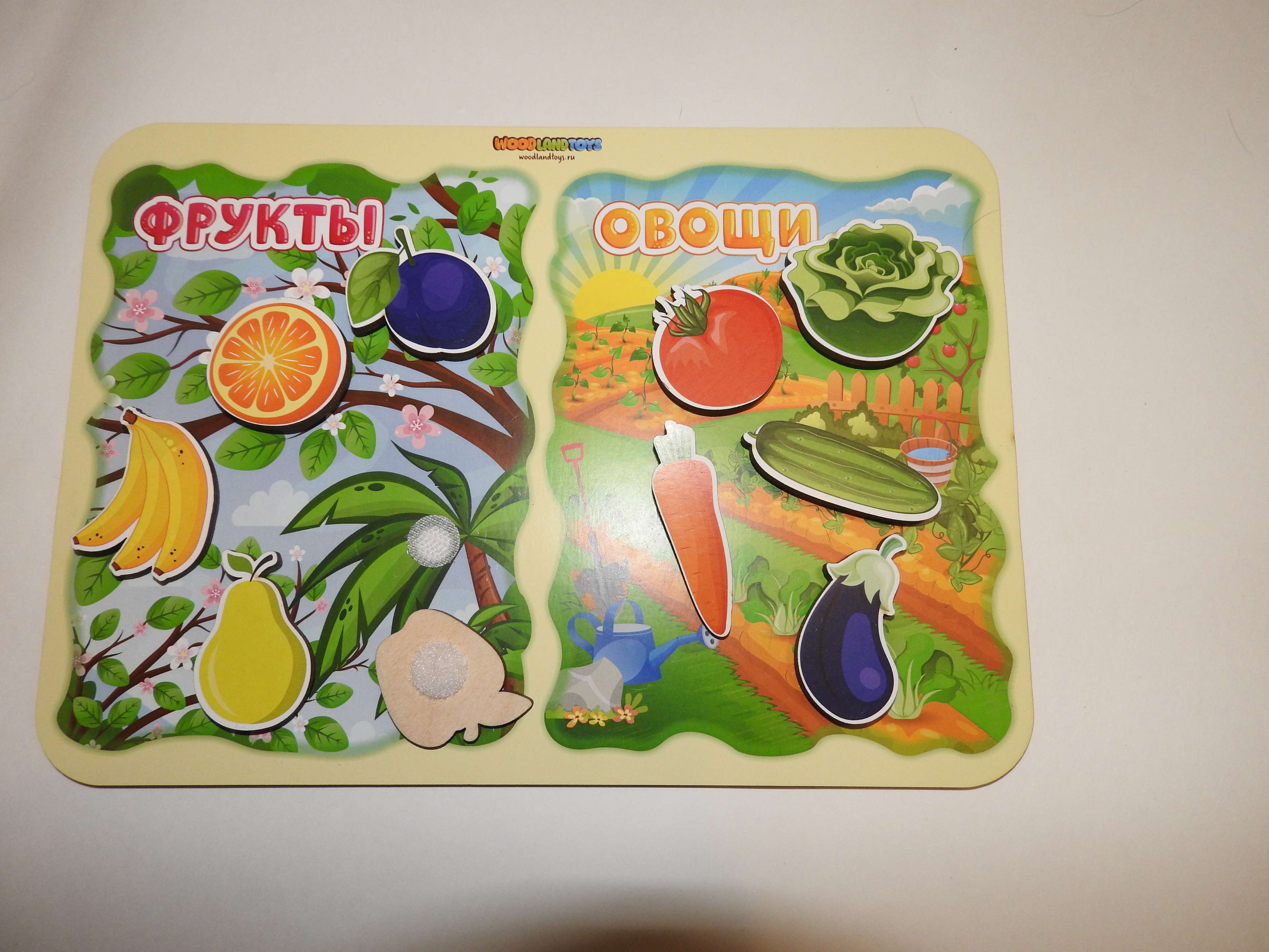 Фотография покупателя товара Сортер «Какая разница? Фрукты-овощи», на липучках - Фото 7