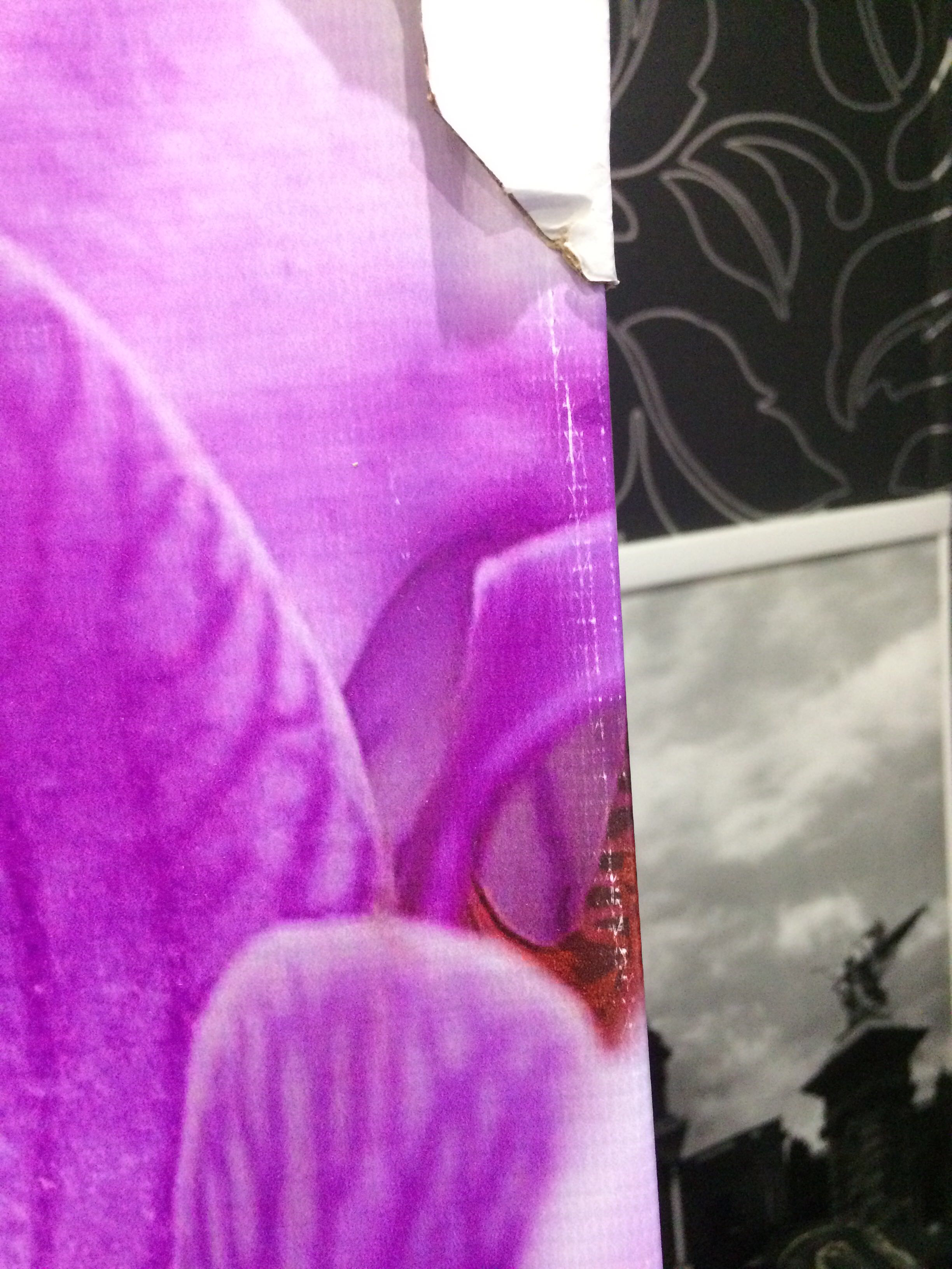 Фотография покупателя товара Картина модульная на подрамнике "Розовые орхидеи" 125*80 см - Фото 4