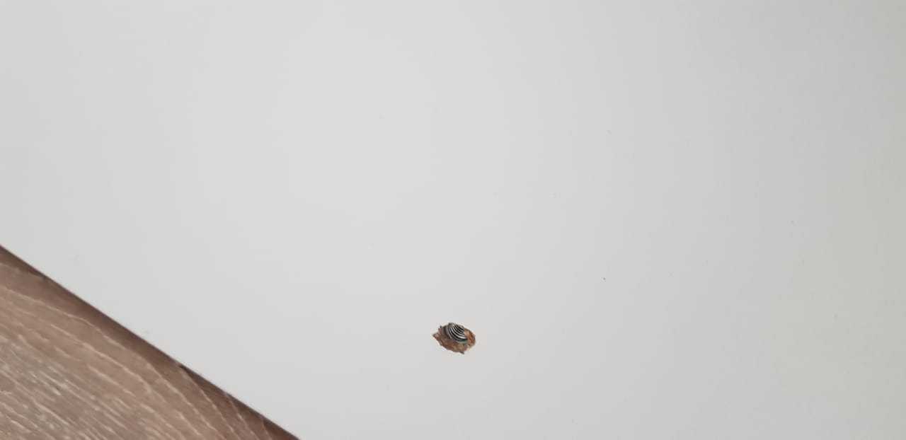 Фотография покупателя товара Кровать детская СКВ-5 Жираф (опуск. планка, накладки ПВХ, поперечный маятник, полка, 3 ящика) цвет белый - Фото 7