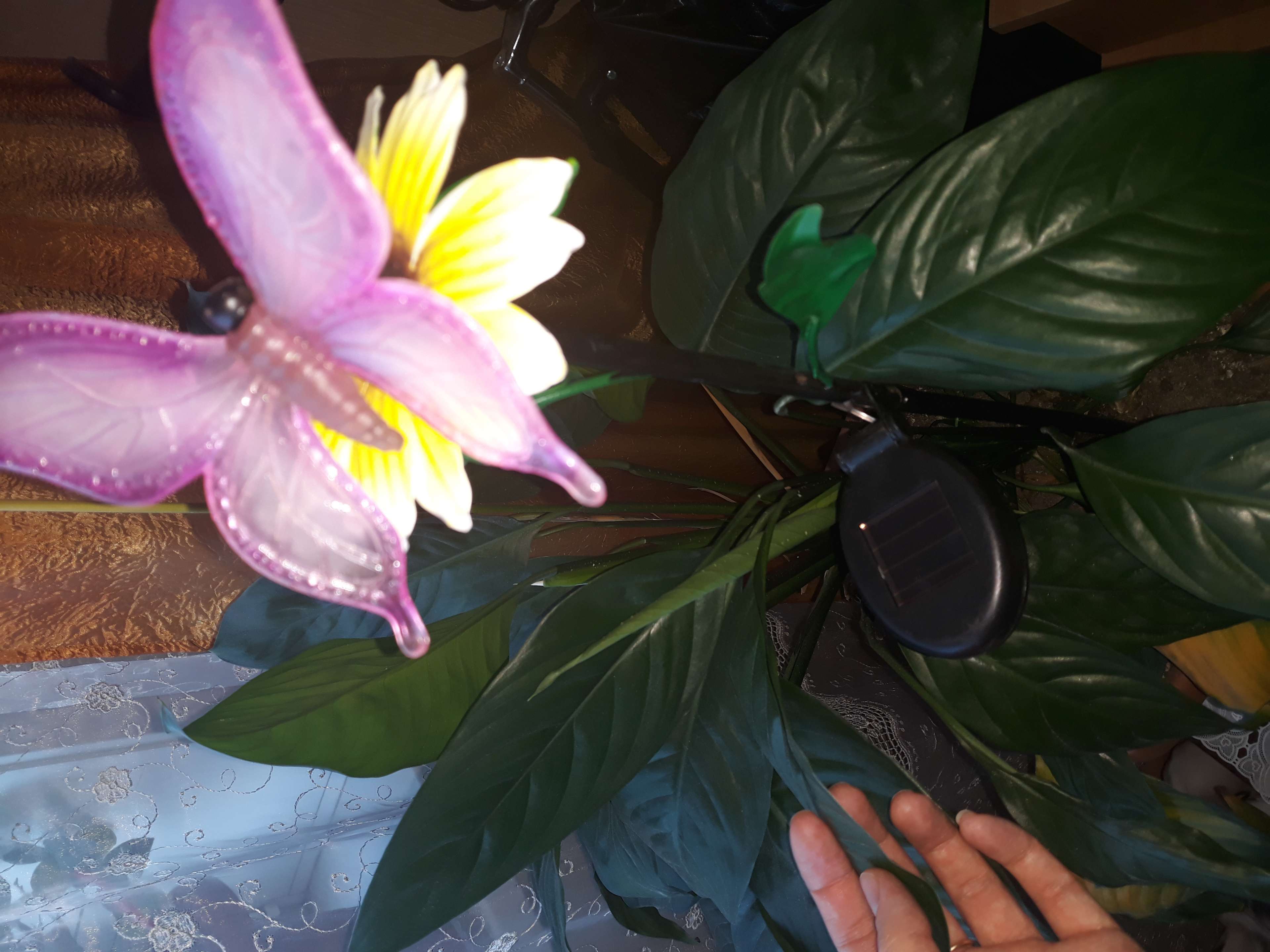 Фотография покупателя товара Светильник "Старт" Бабочка фиолетовая, на солнечной батарее, 1 светодиод - Фото 1