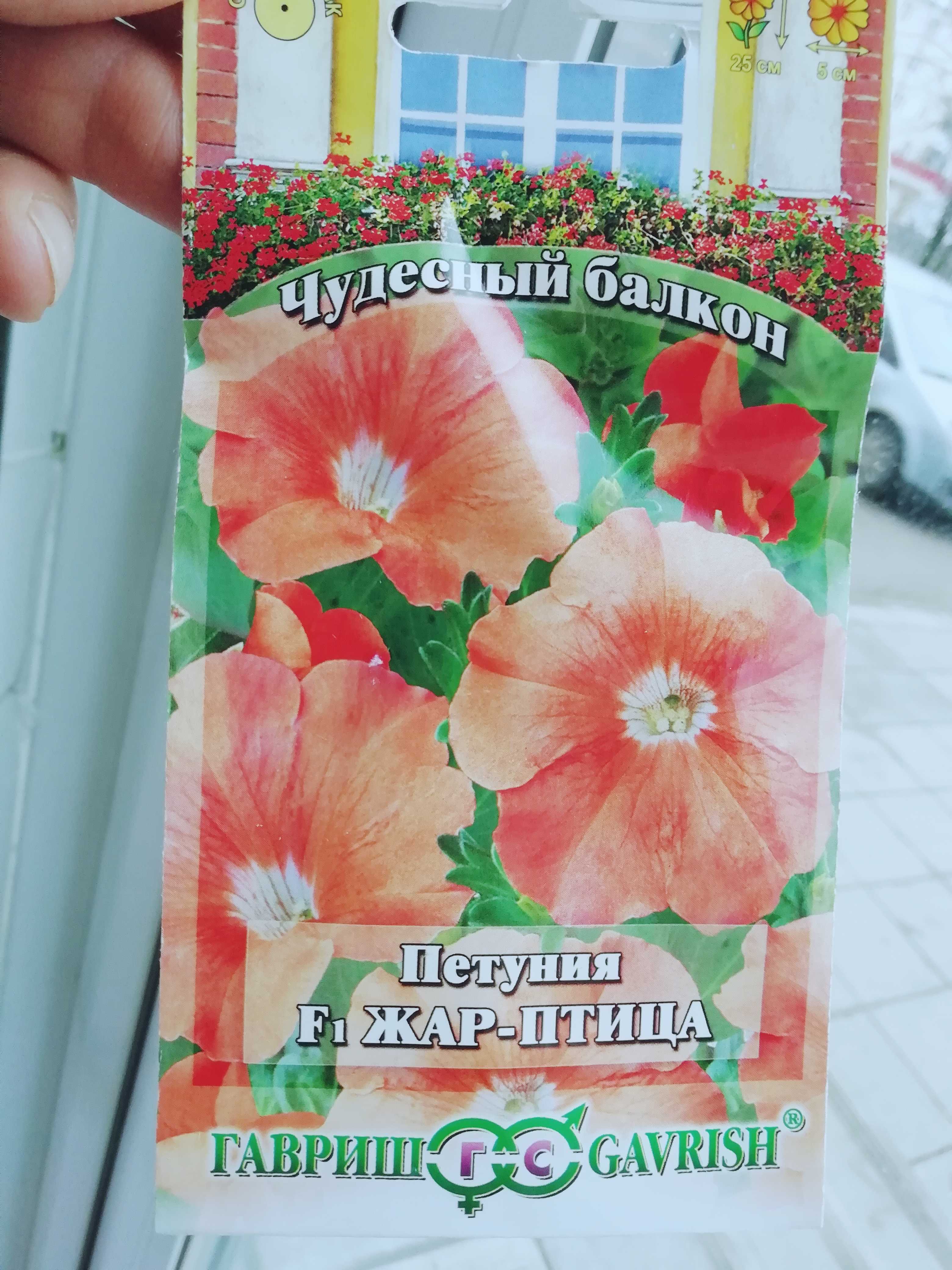 Фотография покупателя товара Семена цветов Петуния "Жар птица" F1, О, гранулы, пробирка, 7 шт.