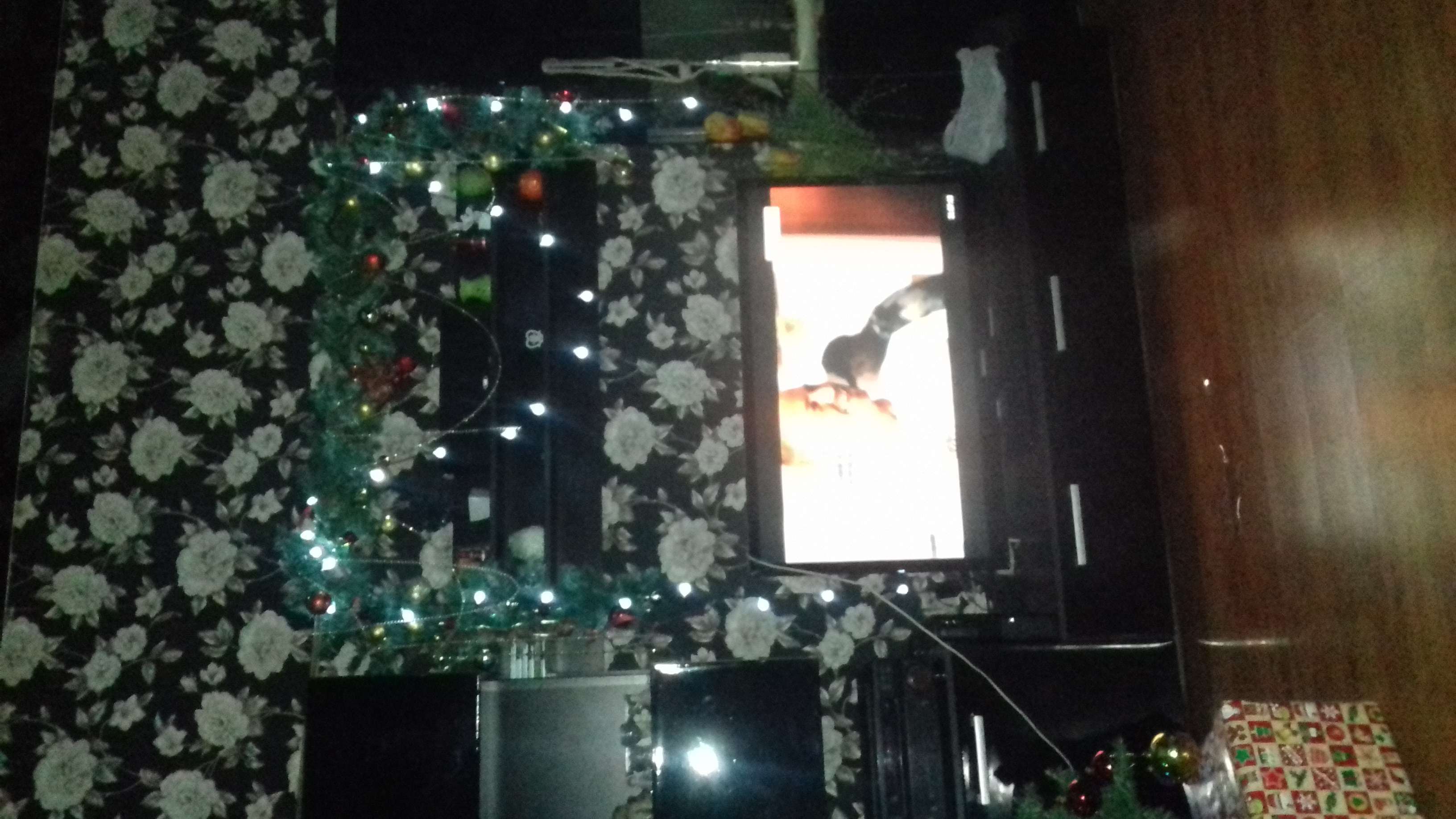 Фотография покупателя товара Гирлянда «Нить» 5 м с насадками «Шарики белые», IP20, тёмная нить, 20 LED, свечение мульти (RG/RB), мигание, 220 В - Фото 18
