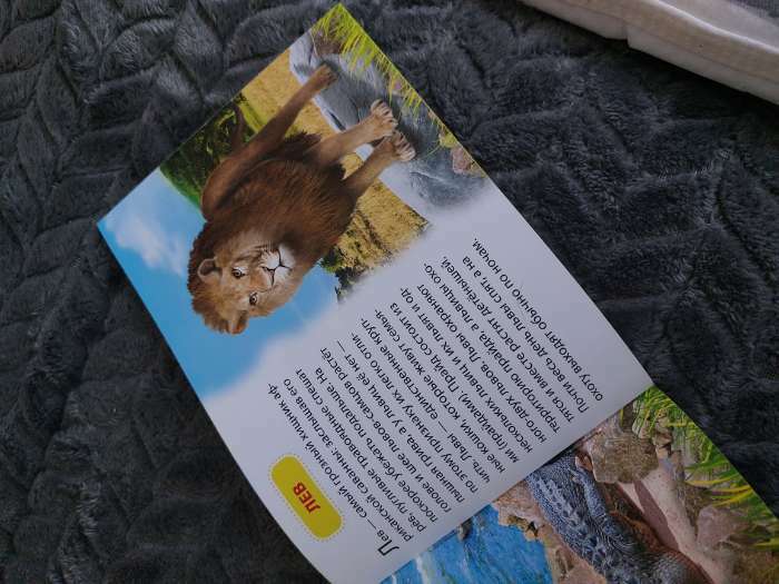 Фотография покупателя товара Обучающие книжки набор 6 шт. «Узнаём про всё вокруг», 108 животных и птиц