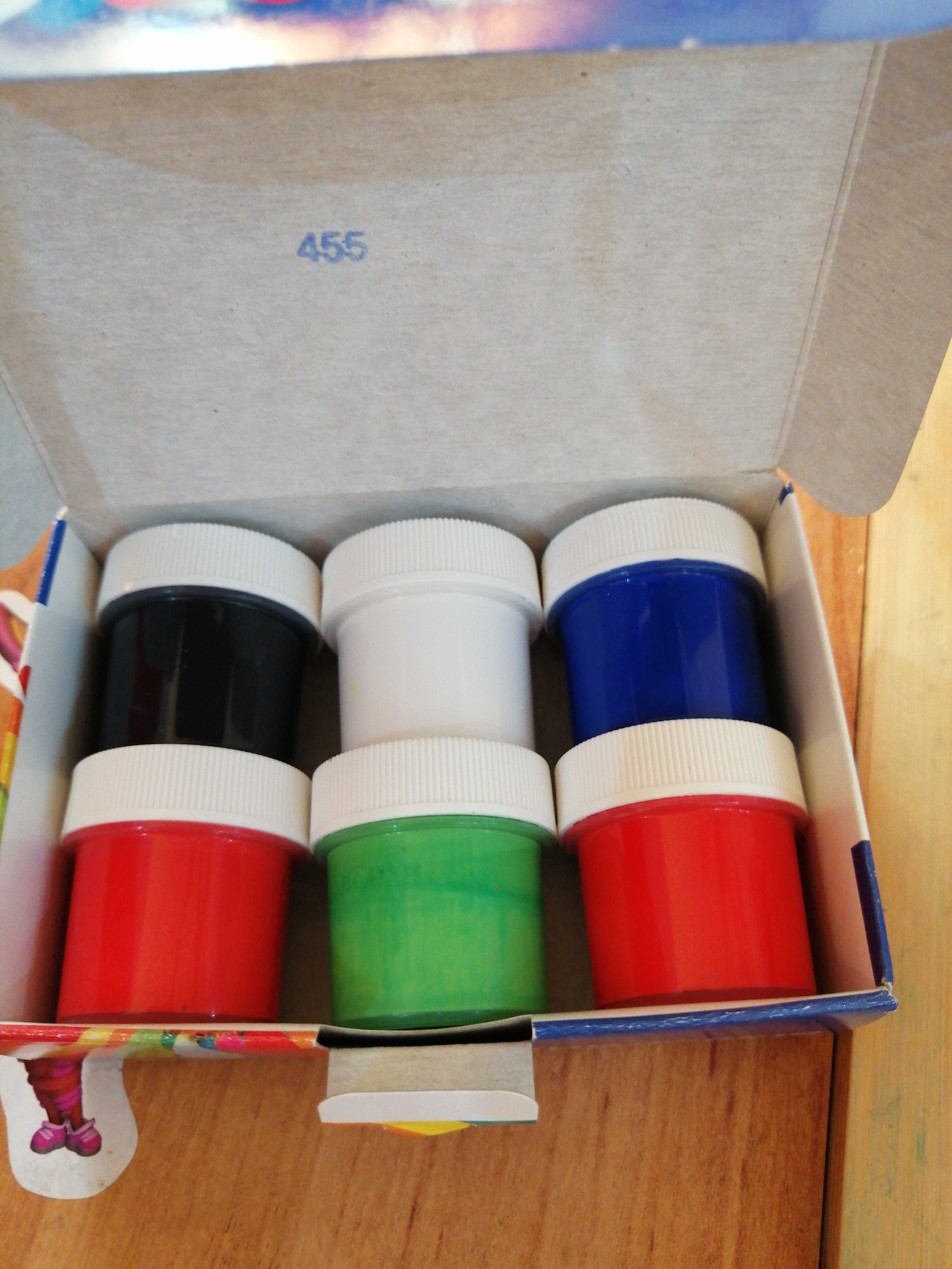 Фотография покупателя товара Краска акриловая, набор 6 цветов х 20 мл, Lori - Фото 1