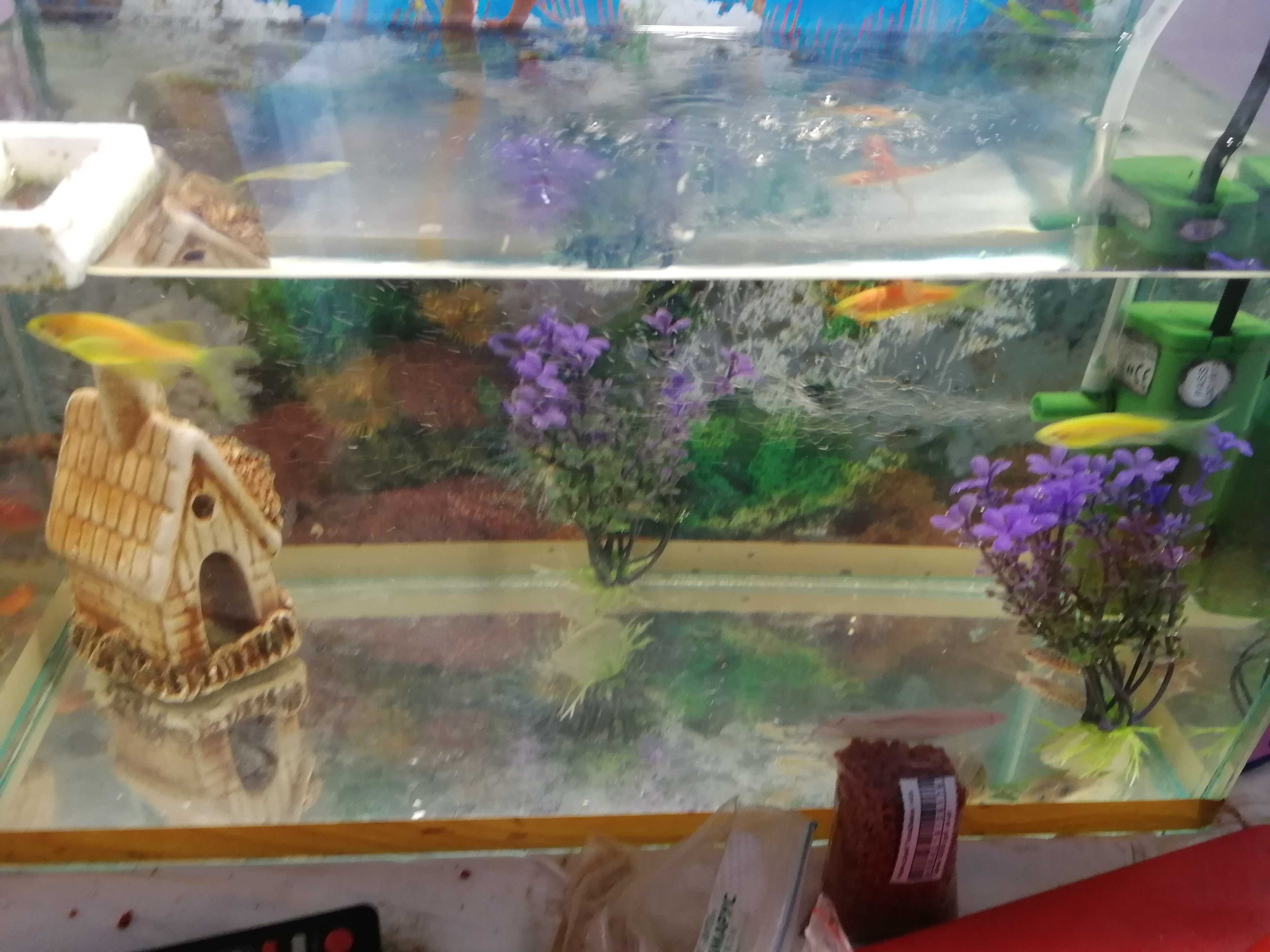 Фотография покупателя товара Декорация для аквариума "Хижина", 7 х 6 х 11 см, микс