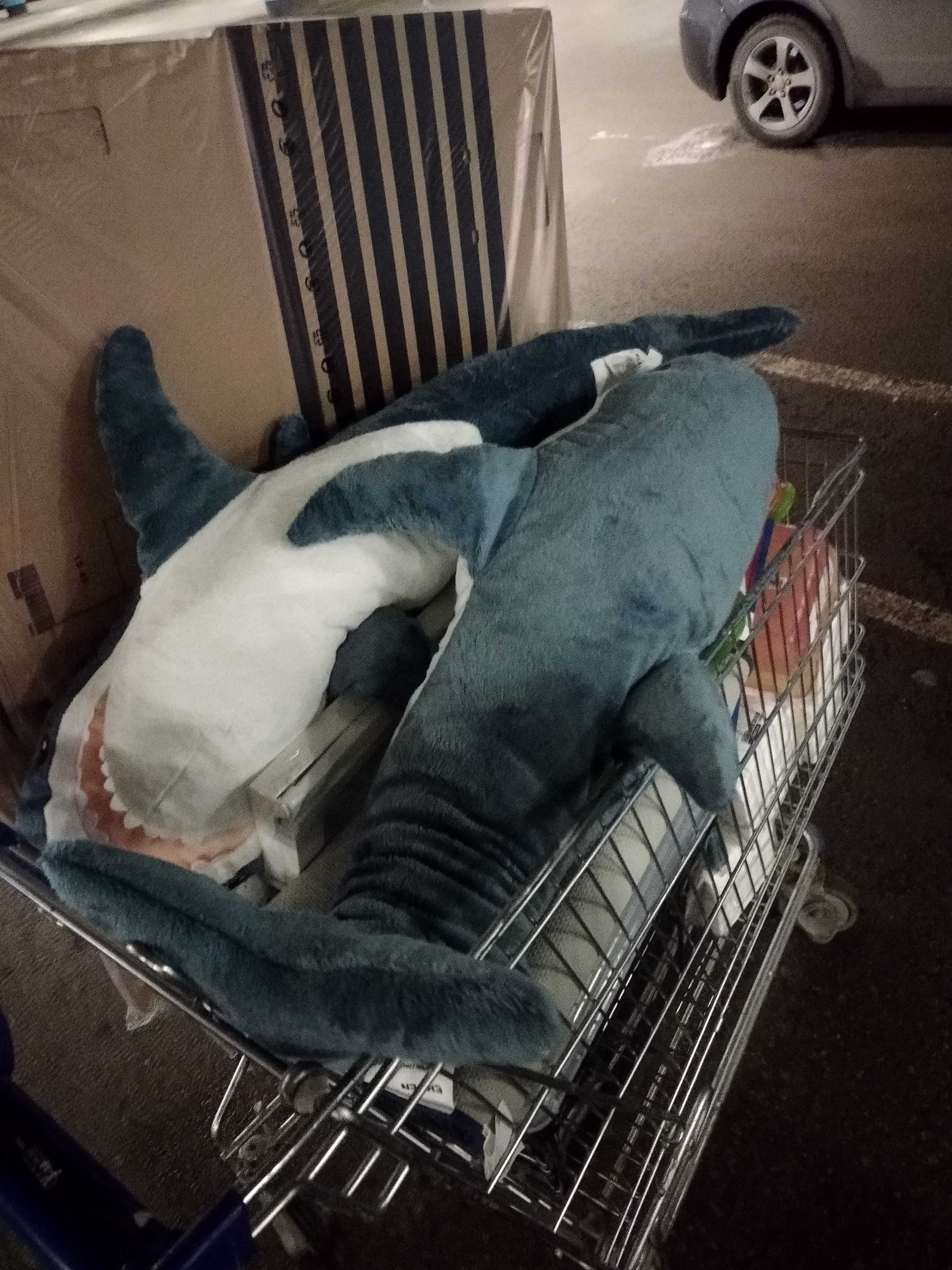Фотография покупателя товара Мягкая игрушка БЛОХЭЙ «Акула»