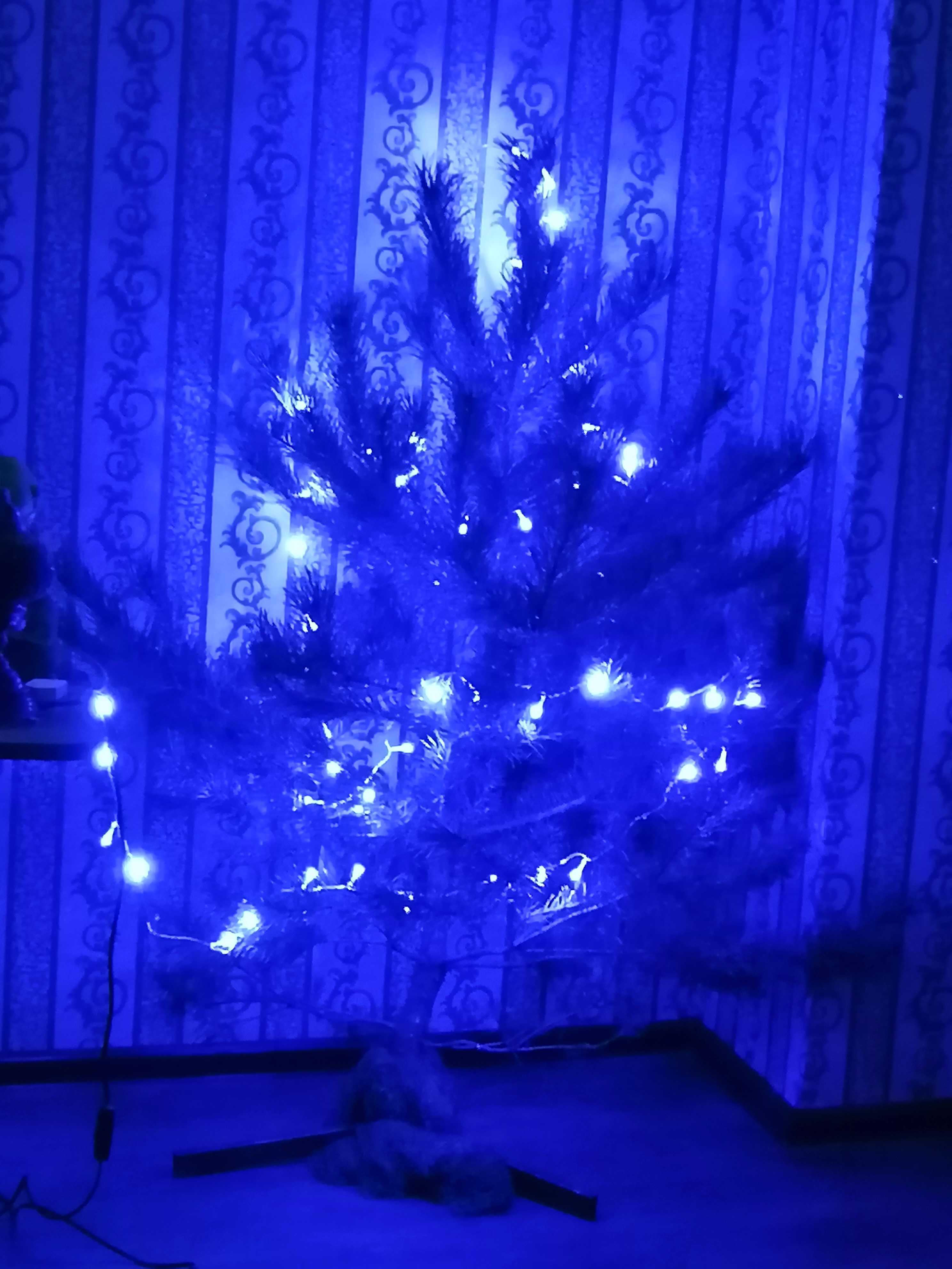 Фотография покупателя товара Гирлянда «Нить» 20 м, IP20, прозрачная нить, 200 LED, свечение синее, 8 режимов, 220 В - Фото 259