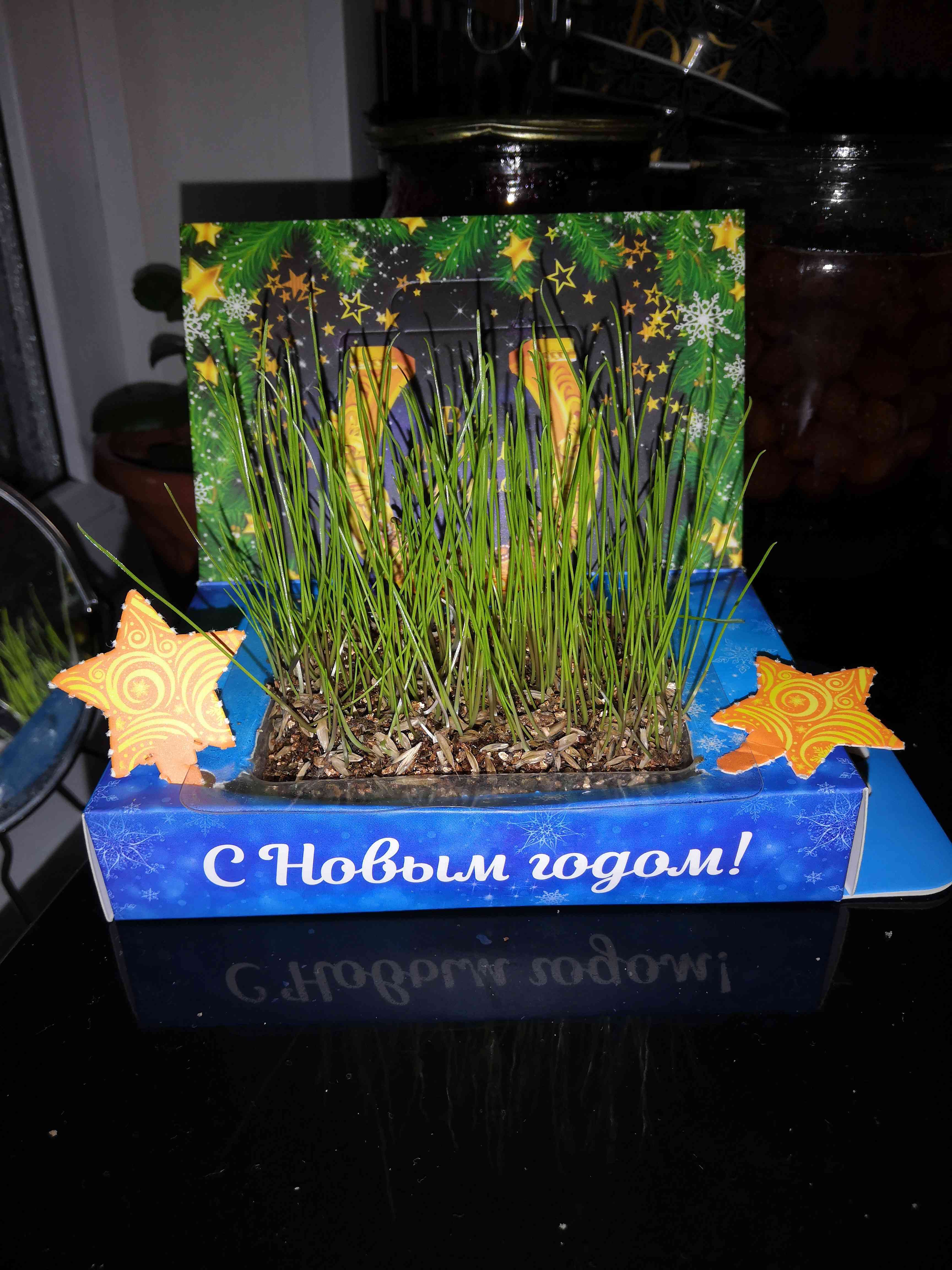 Фотография покупателя товара Открытка с растущей травой «Исполнения желаний» - Фото 1