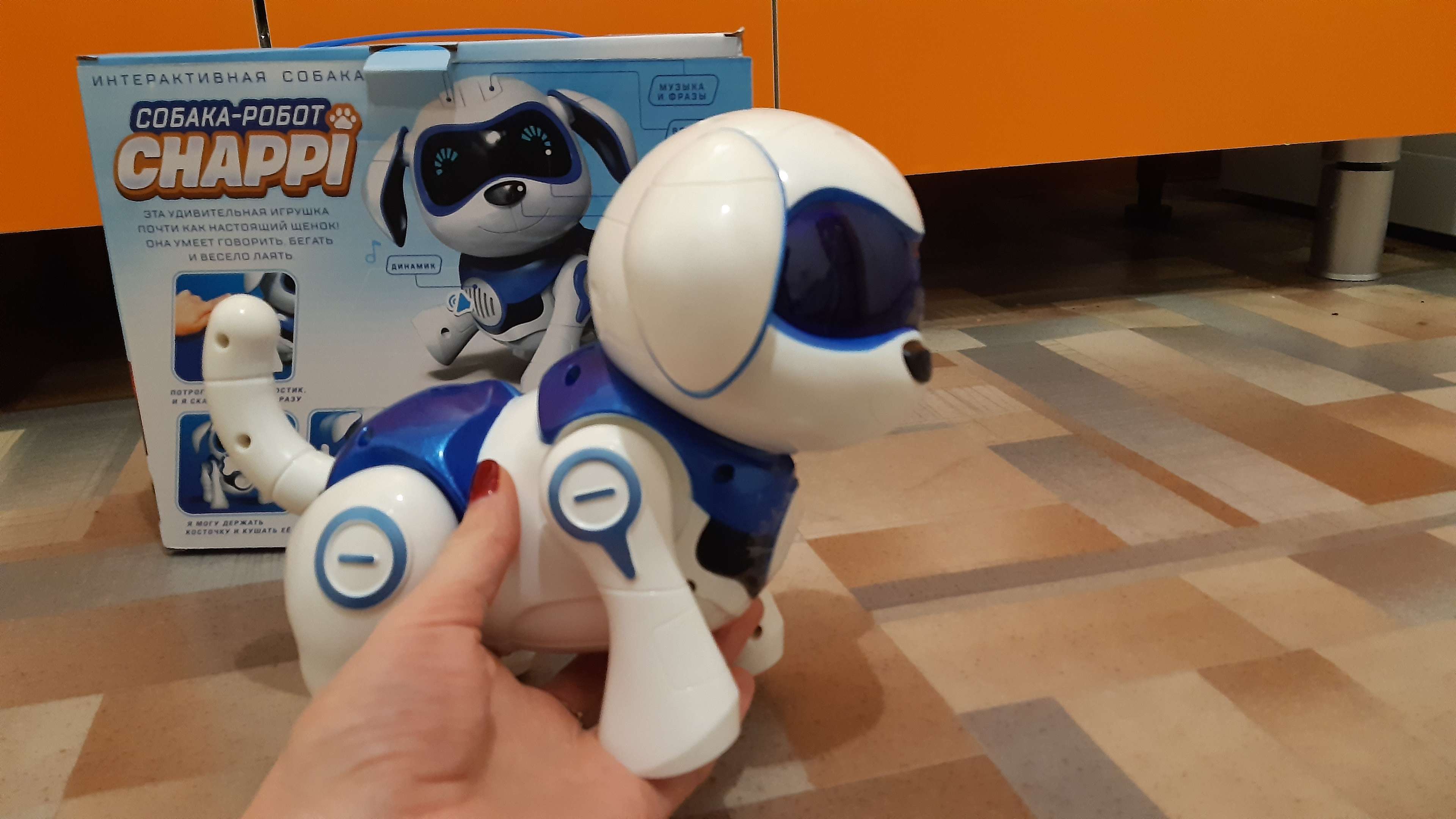 Фотография покупателя товара Робот собака «Чаппи» IQ BOT, интерактивный: сенсорный, свет, звук, музыкальный, танцующий, на аккумуляторе, на русском языке, синий - Фото 14