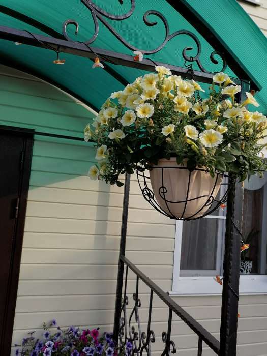 Фотография покупателя товара Кашпо уличное для цветов с поддоном «Алиция», 4,3 л, цвет белая глина - Фото 1