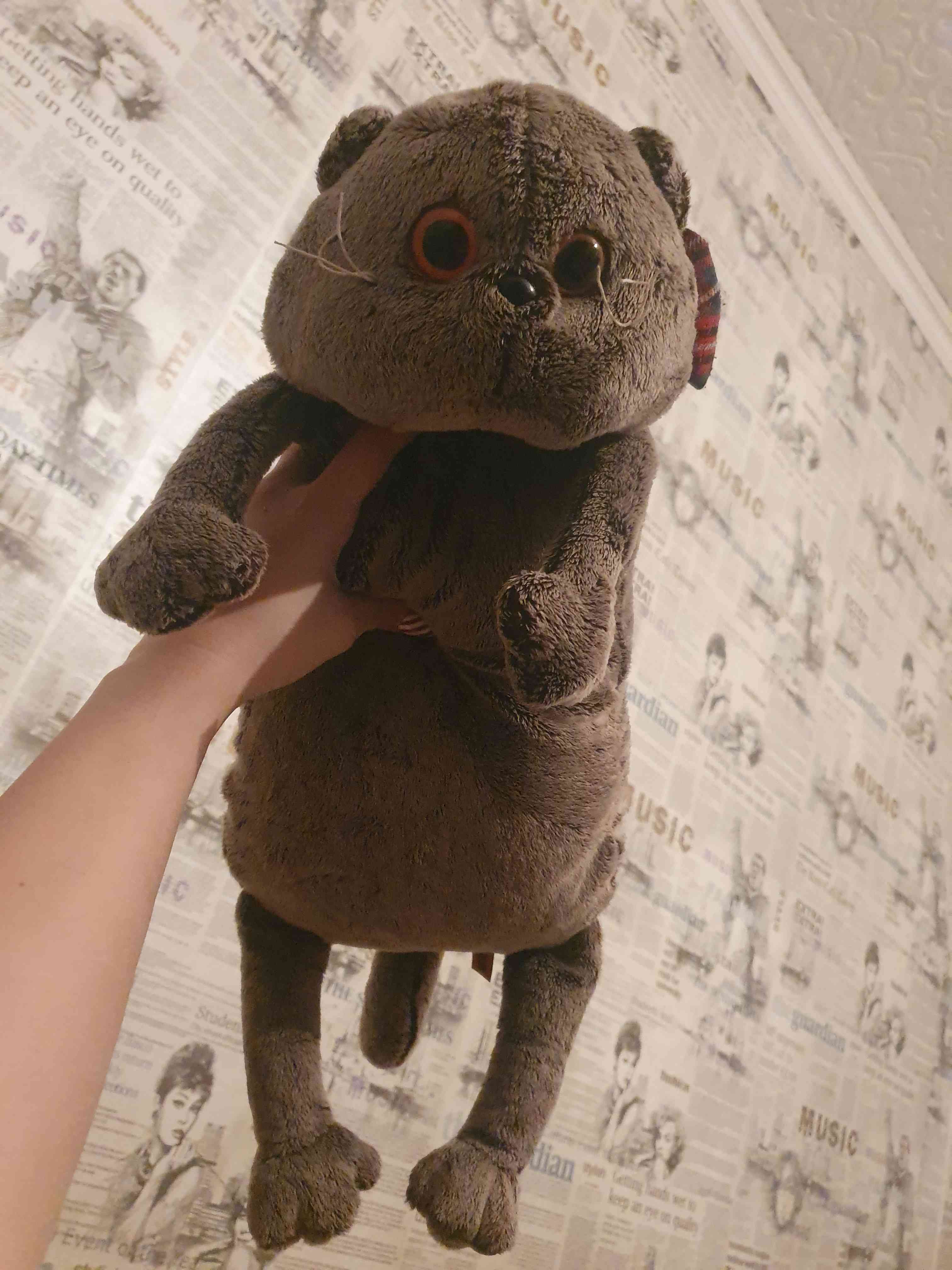 Фотография покупателя товара Мягкая игрушка-подушка «Кот», цвет серый, 40 см