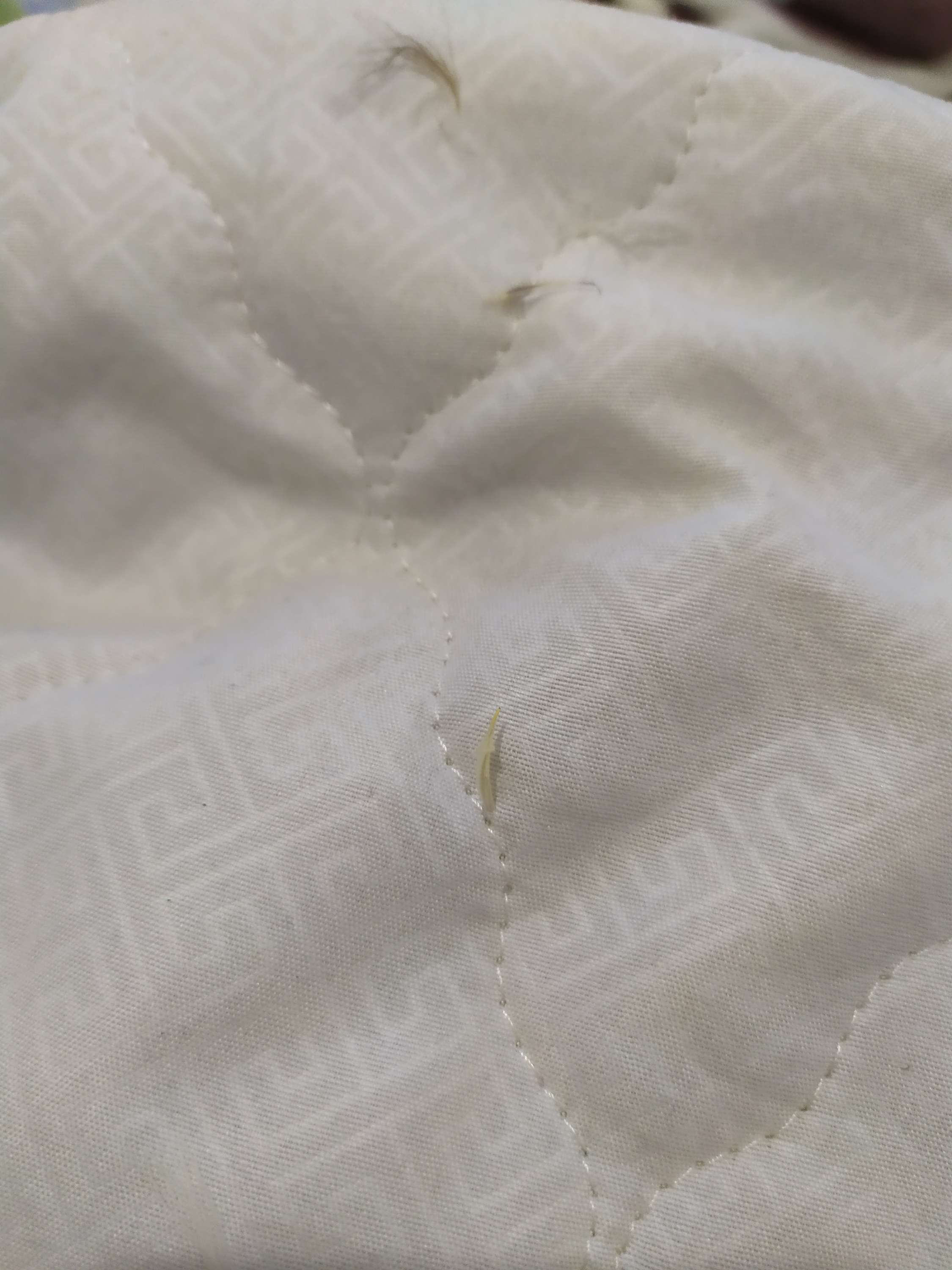 Фотография покупателя товара Чехол на подушку АТРА сменный стеганый на молнии 70х70см, 100% п/э, 100гр/м - Фото 2