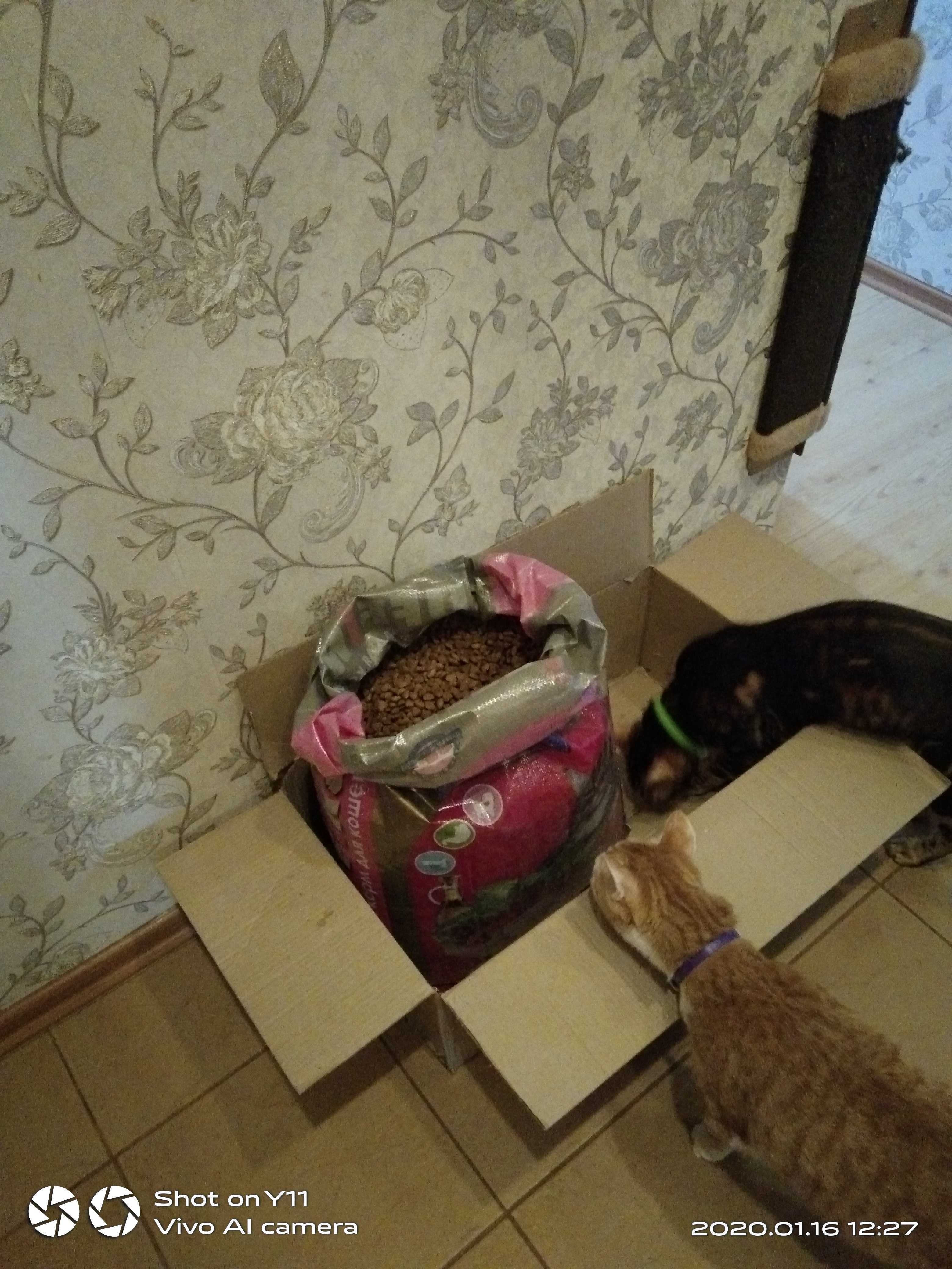 Фотография покупателя товара Сухой корм для кошек "Puffins" Мясное жаркое 10 кг - Фото 1