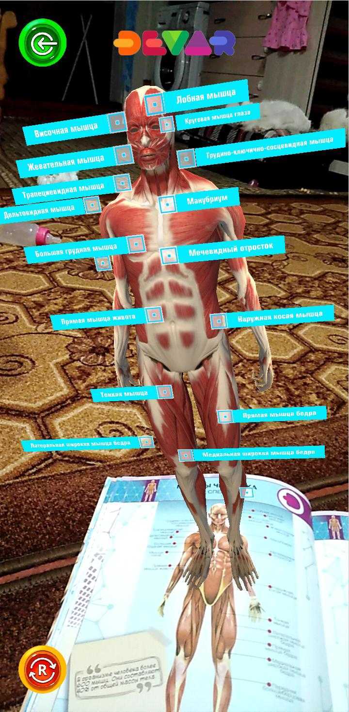 Фотография покупателя товара Энциклопедия 4D в дополненной реальности «Анатомия»