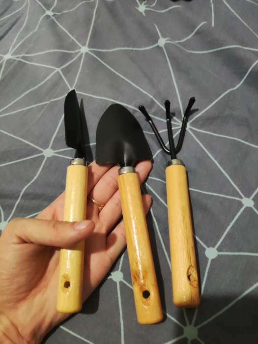 Фотография покупателя товара Набор садового инструмента, 3 предмета: рыхлитель, 2 совка, длина 20 см, деревянные МИКС ручки, Greengo - Фото 1