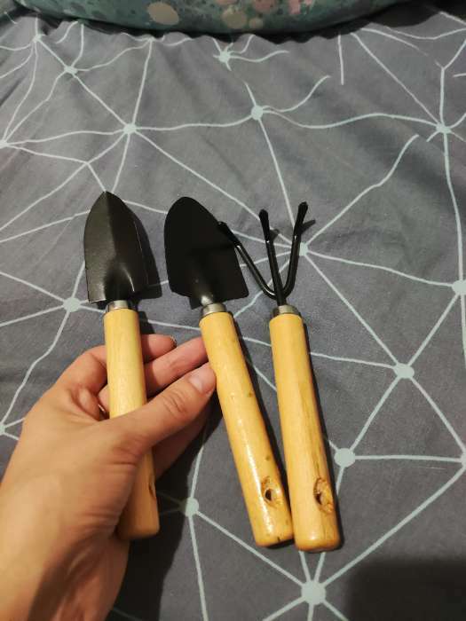 Фотография покупателя товара Набор садового инструмента, 3 предмета: рыхлитель, 2 совка, длина 20 см, деревянные МИКС ручки, Greengo - Фото 2