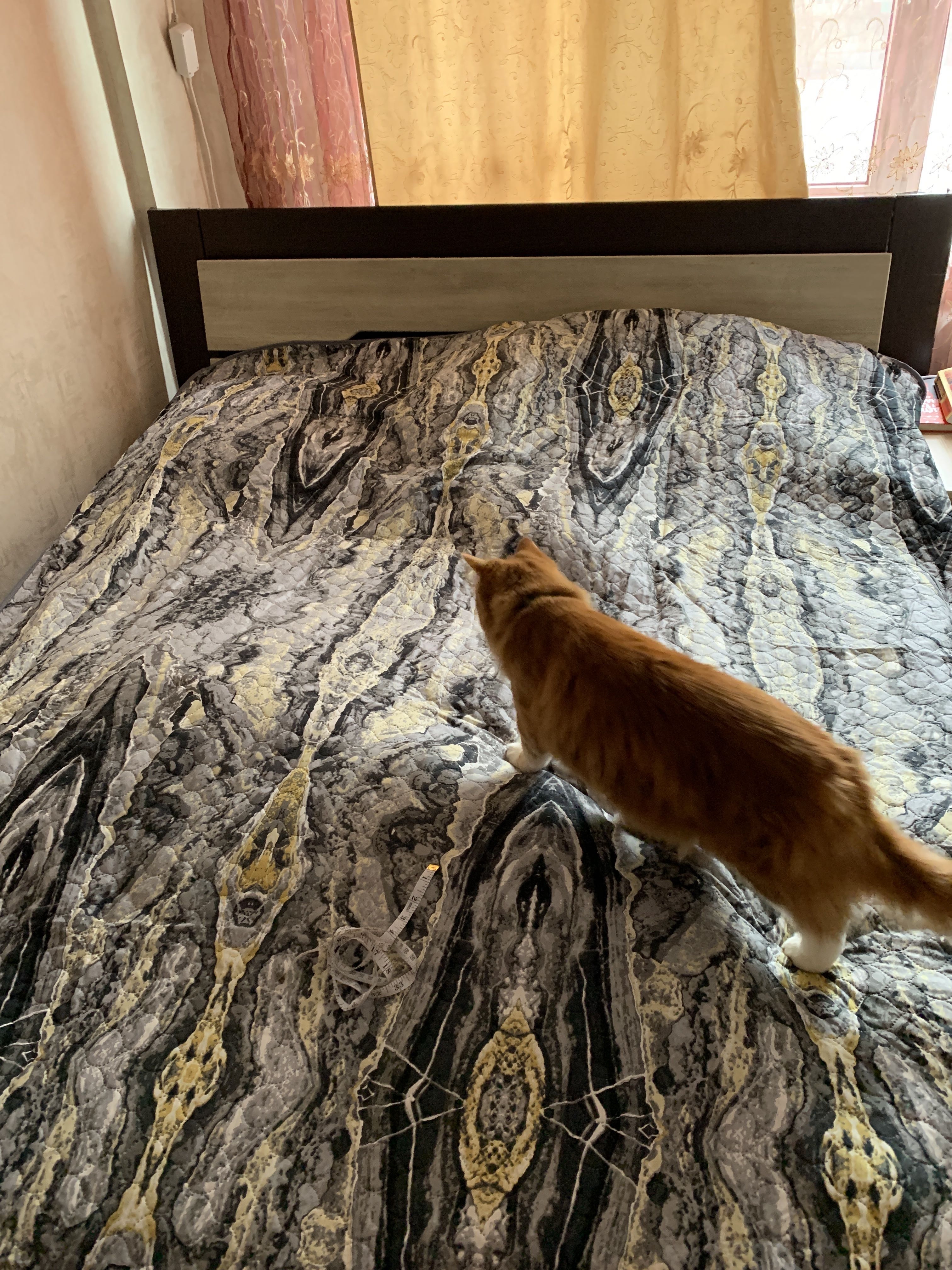 Фотография покупателя товара Покрывало Этель Минералы евро макси Яшма 220х240 см, микрофибра 100% п/э - Фото 8