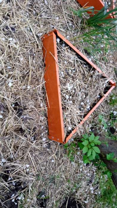 Фотография покупателя товара Клумба оцинкованная, 70×15 см, оранжевая, «Терция», Greengo - Фото 1