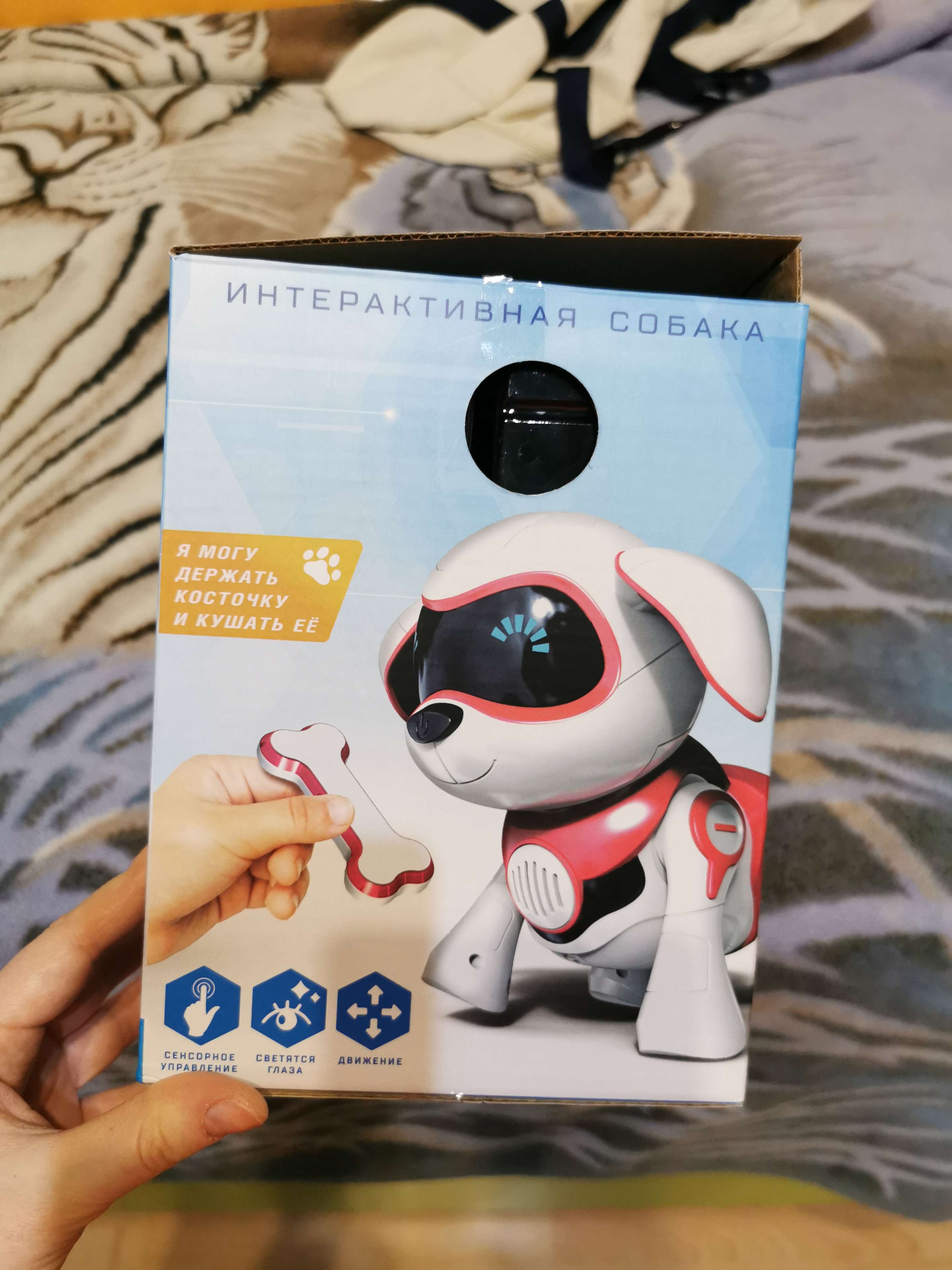Фотография покупателя товара Робот собака «Чаппи» IQ BOT, интерактивный: сенсорный, свет, звук, музыкальный, танцующий, на аккумуляторе, на русском языке, синий - Фото 8