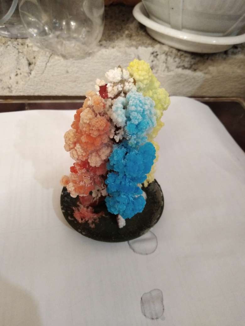 Фотография покупателя товара Набор для выращивания кристалла «Волшебное дерево» цвет разноцветный