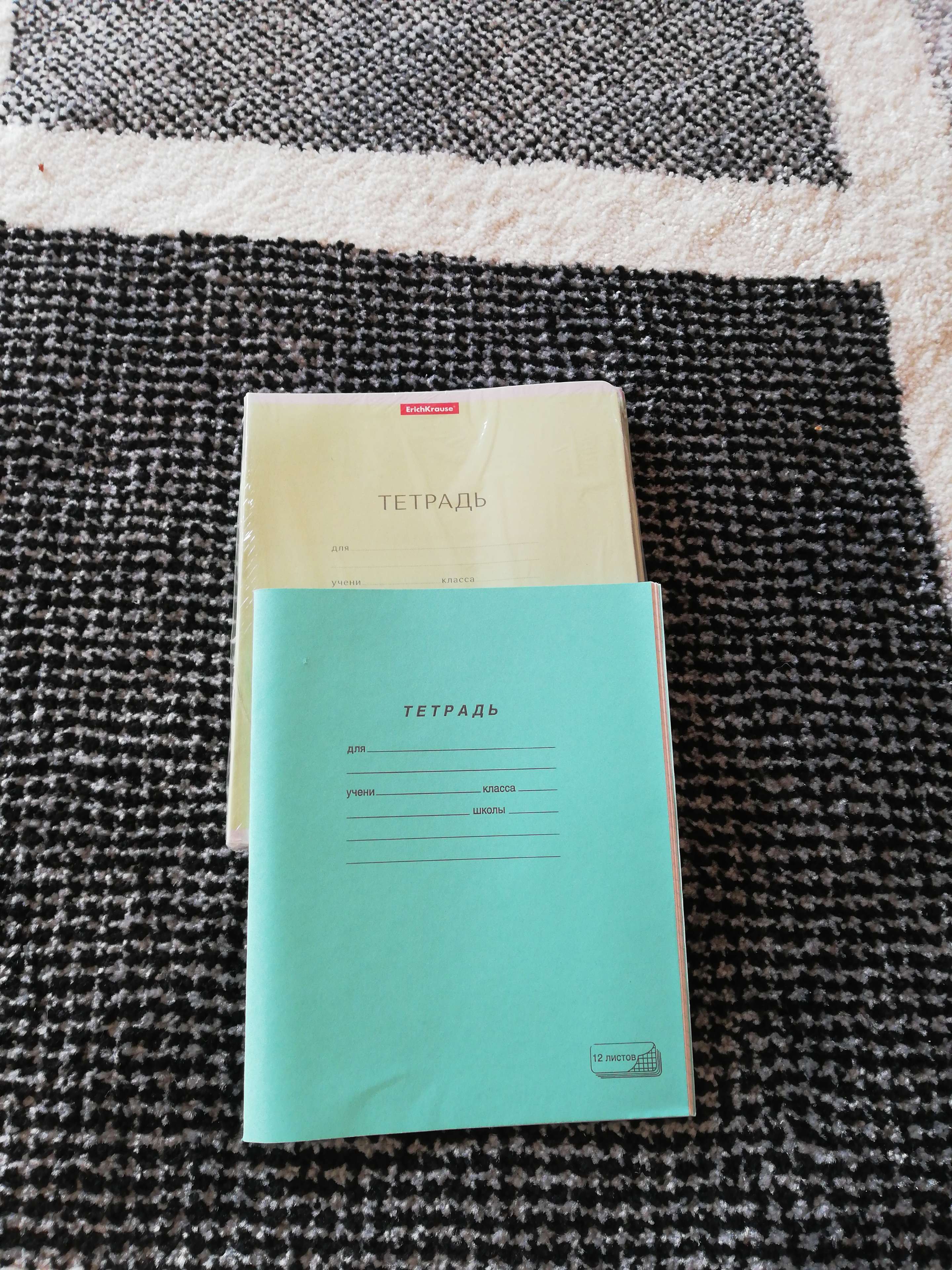 Фотография покупателя товара Тетрадь 12 листов в клетку ErichKrause "Классика", обложка мелованный картон, блок офсет, зелёная - Фото 9