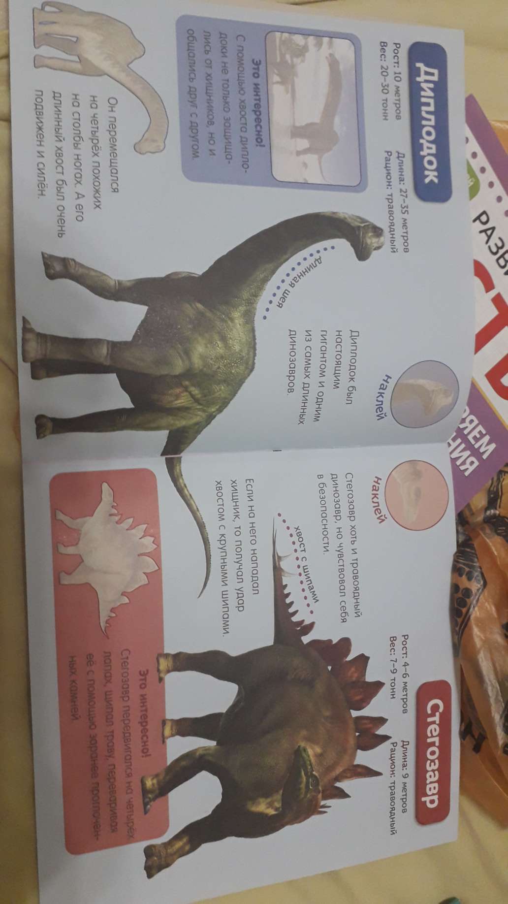 Фотография покупателя товара Наклейки «Мир динозавров», 12 стр. - Фото 8
