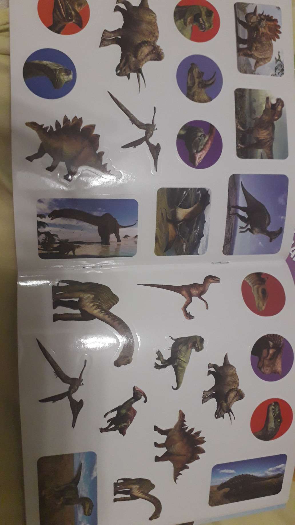 Фотография покупателя товара Наклейки «Мир динозавров», 12 стр. - Фото 9