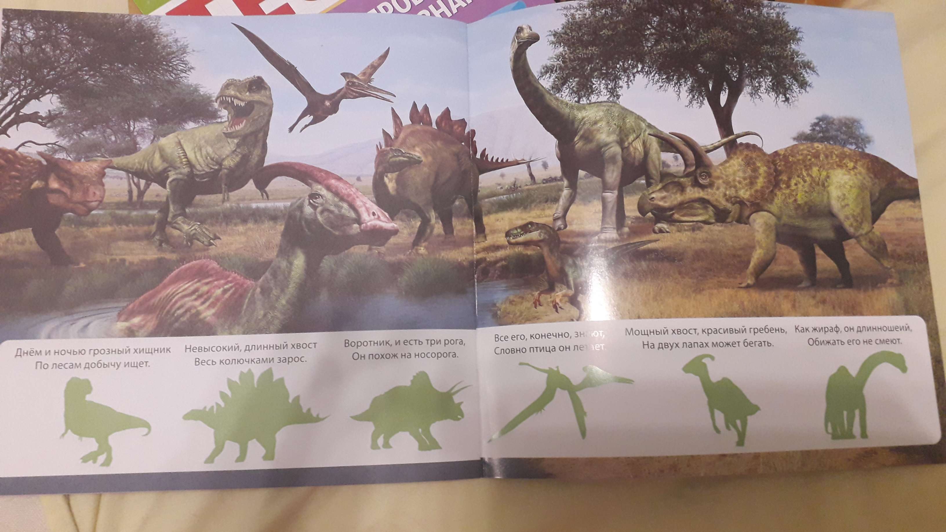 Фотография покупателя товара Наклейки «Мир динозавров», 12 стр. - Фото 10