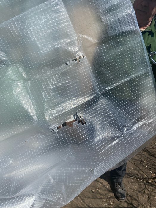 Фотография покупателя товара Плёнка армированная Greengo, полиэтиленовая с леской, 10 × 2 м, толщина 240 мкм, УФ-стабилизированная - Фото 5