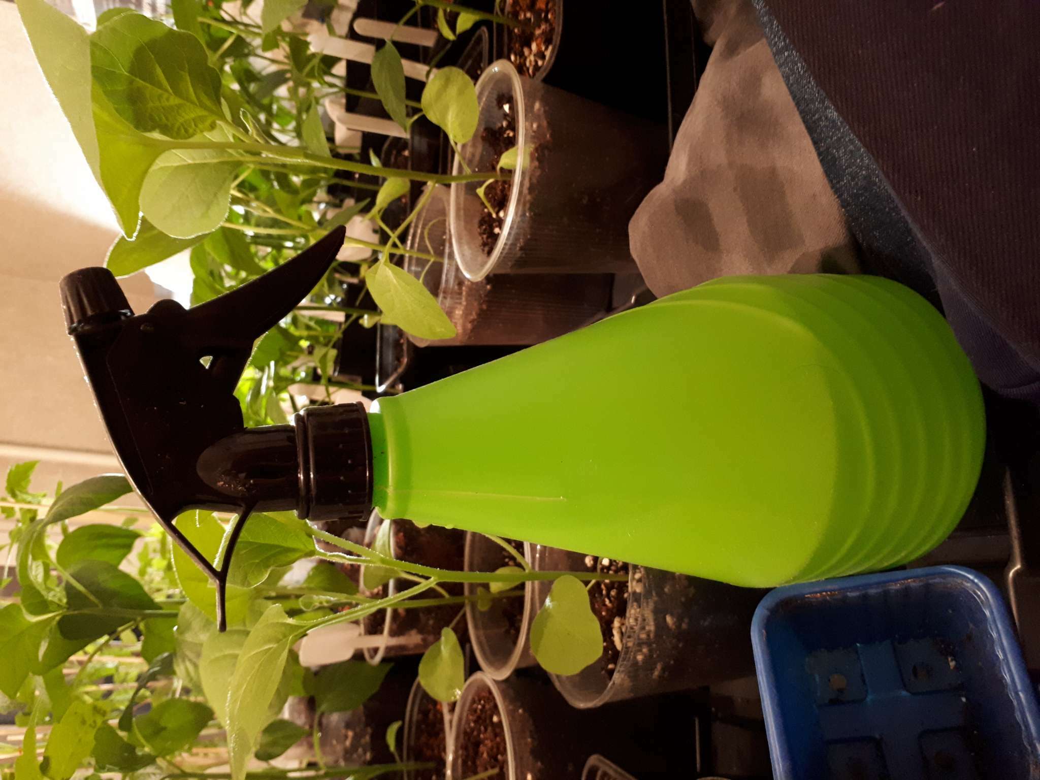 Фотография покупателя товара Пульверизатор, 0.75 л, МИКС, «Лазурит» - Фото 5