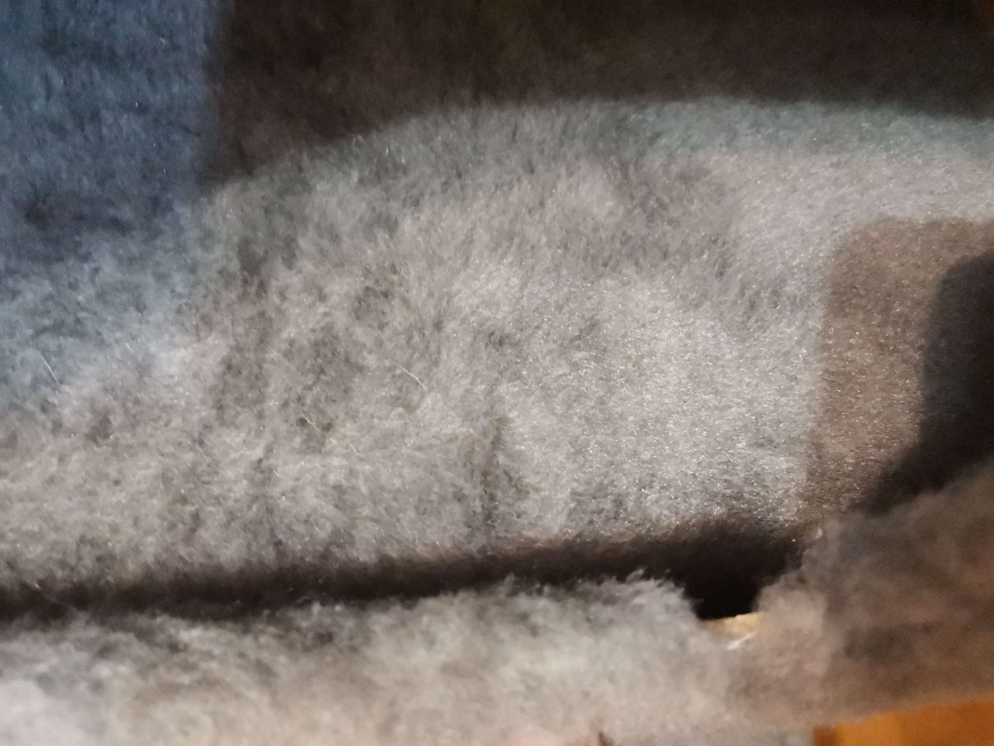 Фотография покупателя товара Комплекс для кошек с когтеточкой «Каскад», ковролин, 53 х 50 х 124 см, серый - Фото 1