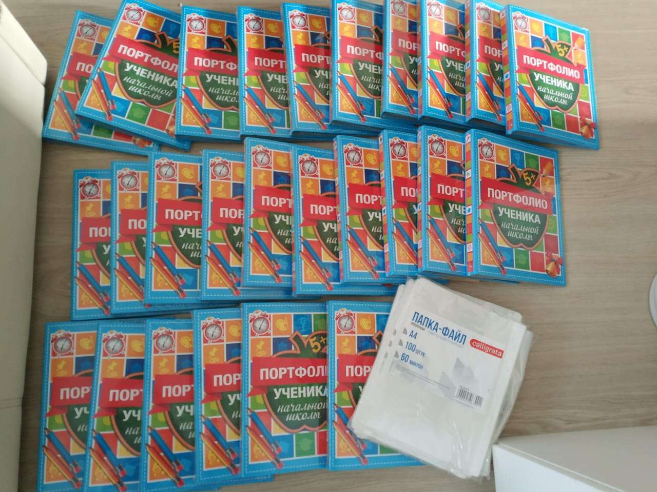 Фотография покупателя товара Папка на кольцах «Портфолио ученика начальной школы», 13 листов-разделителей, 24,5 х 32 см