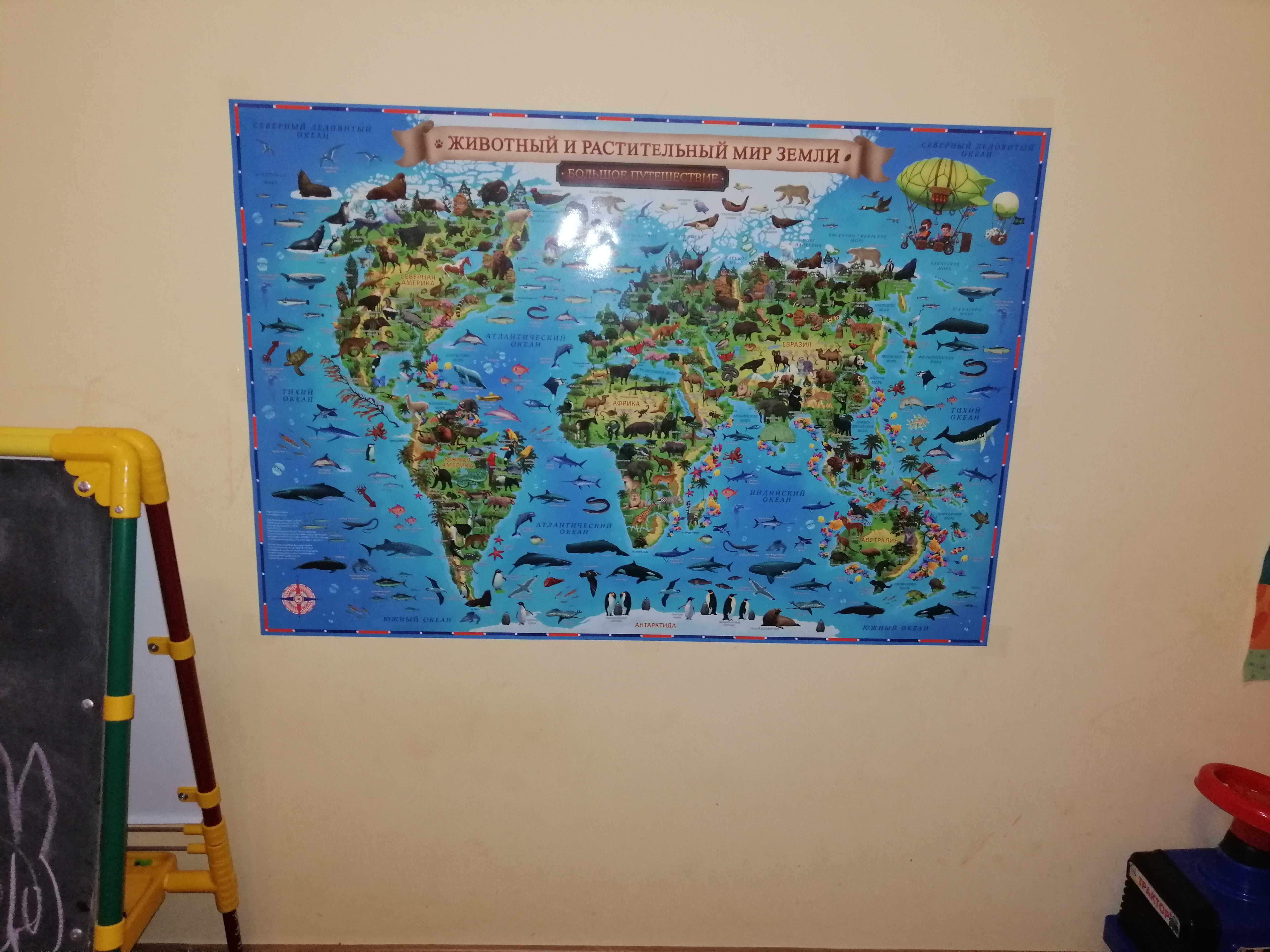 Фотография покупателя товара Карта Мира географическая для детей "Животный и растительный мир Земли", 101 х 69 см, ламинированная - Фото 18