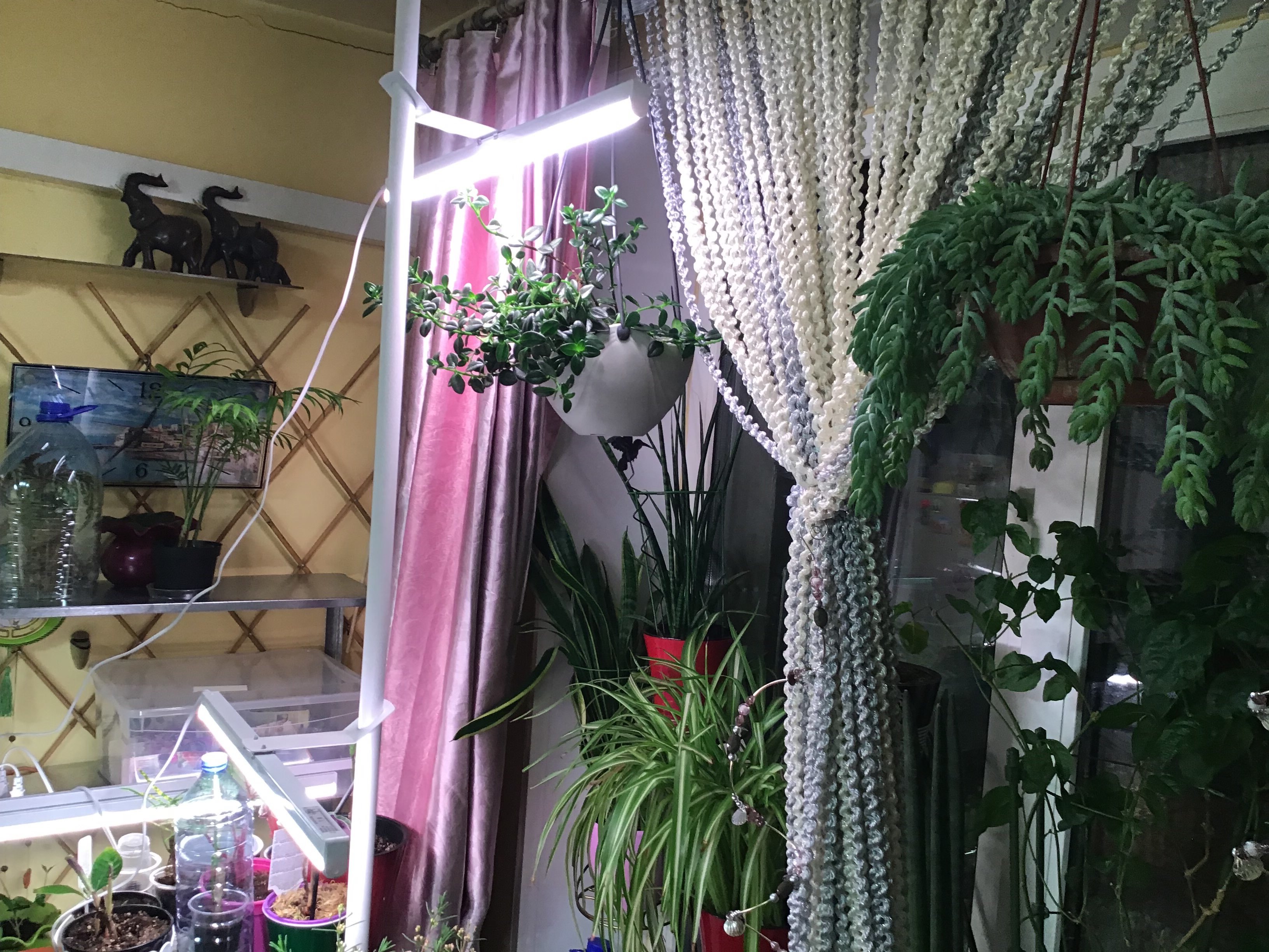 Фотография покупателя товара Фитосветильник «Растущий светильник», 16 Вт, 220 В, 560 × 220 × 560 мм, на подставке - Фото 2