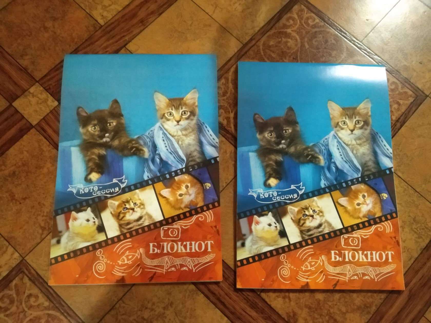 Фотография покупателя товара Блокнот А5, 40 листов на скрепке "Котята" - Фото 1