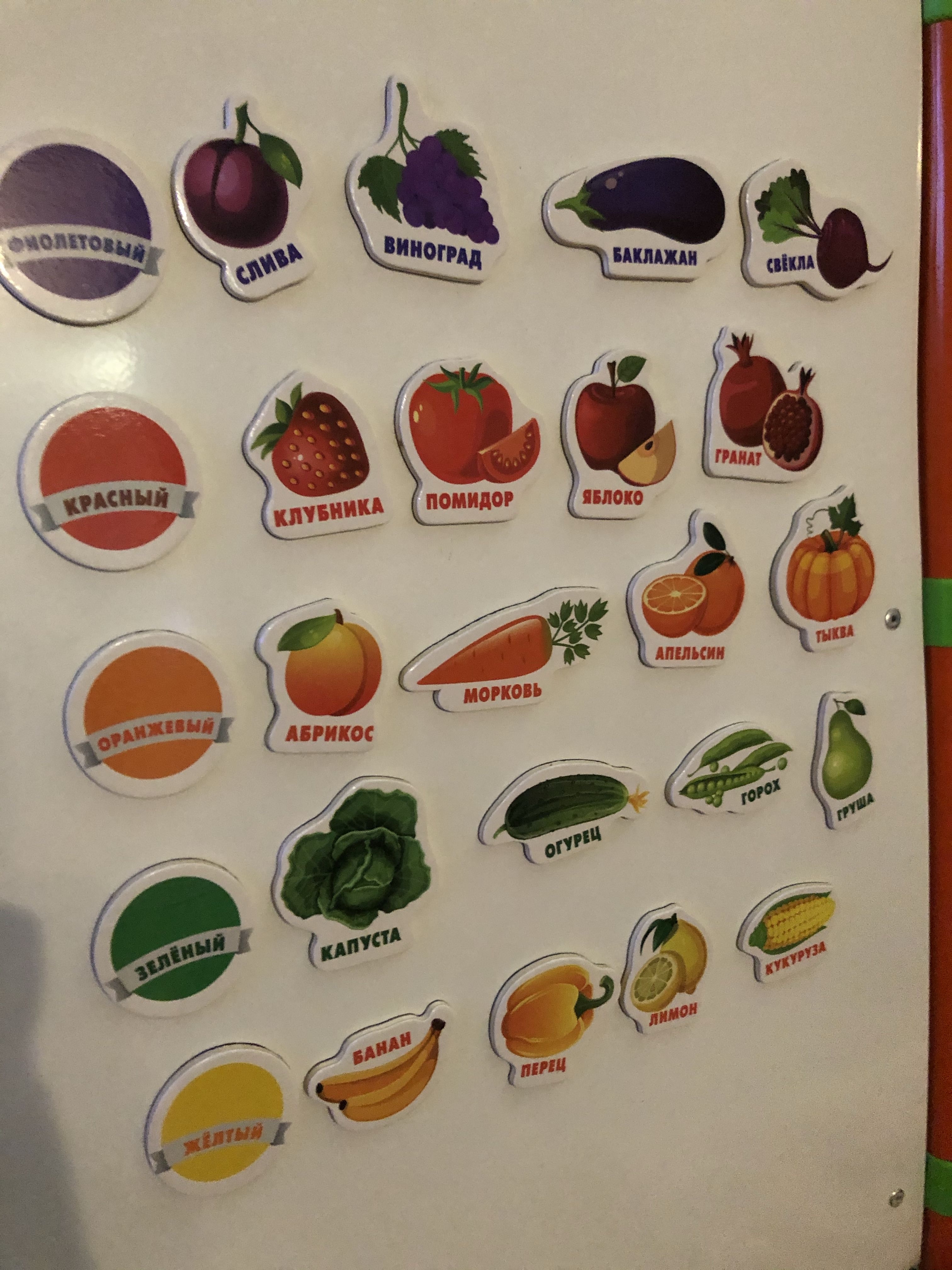 Фотография покупателя товара Развивающие магниты «Изучаем цвета и овощи - фрукты» (набор 25 шт.) - Фото 19