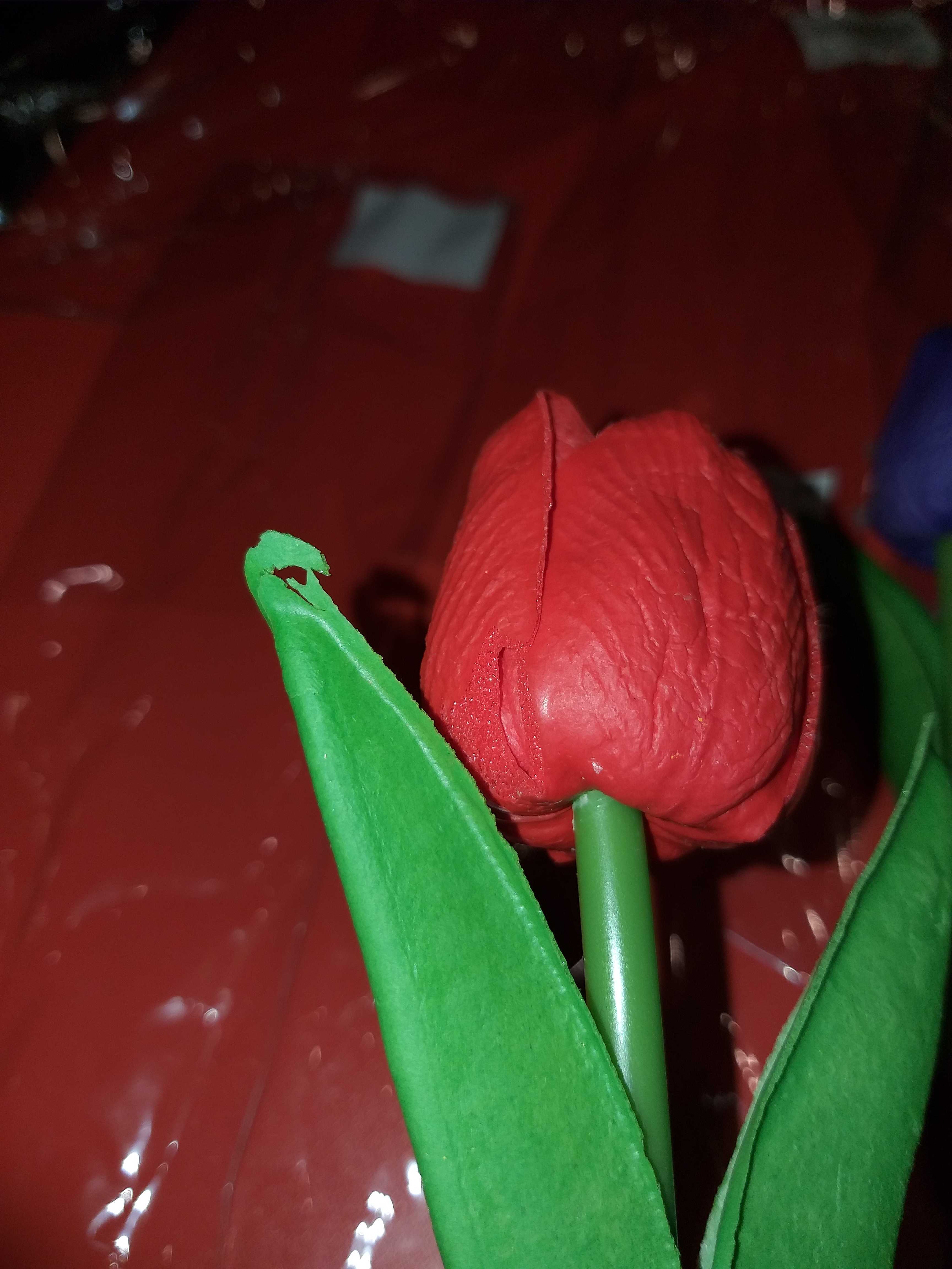 Фотография покупателя товара Ручка шариковая-прикол, «Тюльпаны», МИКС - Фото 13
