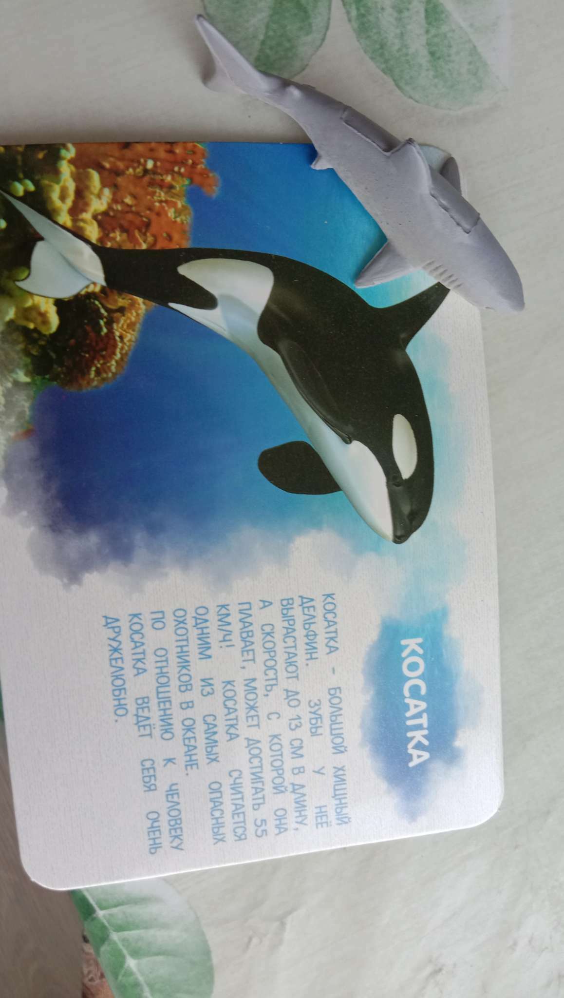 Фотография покупателя товара Набор фигурок животных для детей с обучающими карточками «Подводный мир», карточки, по методике Монтессори - Фото 4