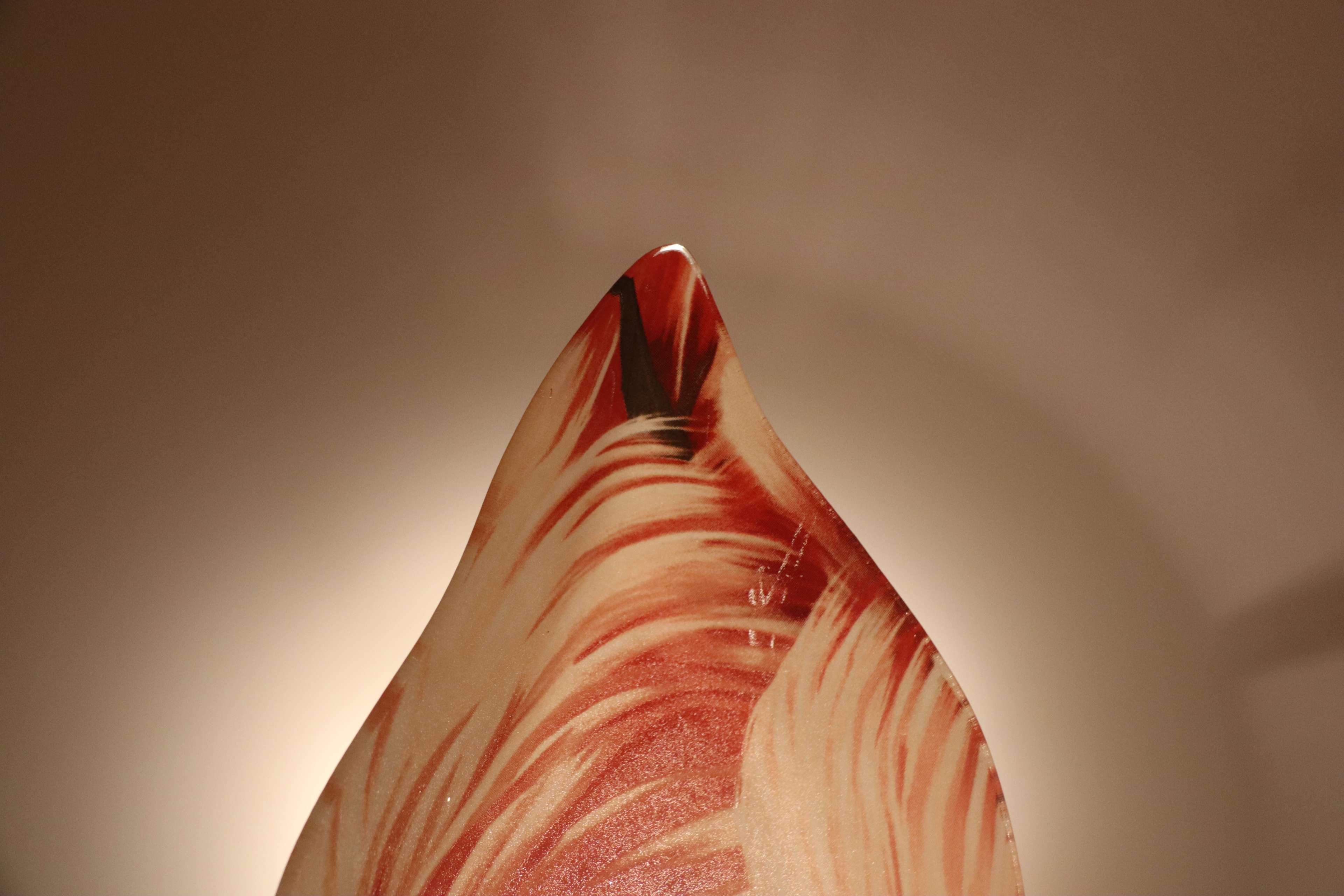 Фотография покупателя товара Блюдо Доляна «Фламинго», 26×14,5×2,5 см - Фото 2