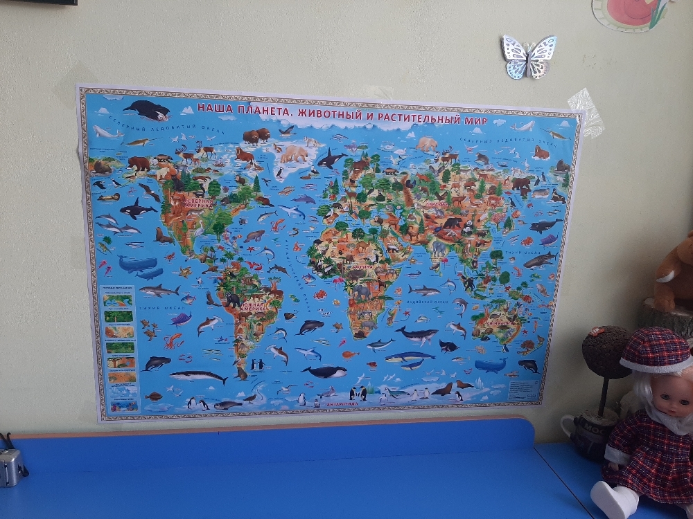 Фотография покупателя товара Карта Мира настенная географическая «Наша планета. Животный и растительный мир», ламинированная, 101 х 69 см