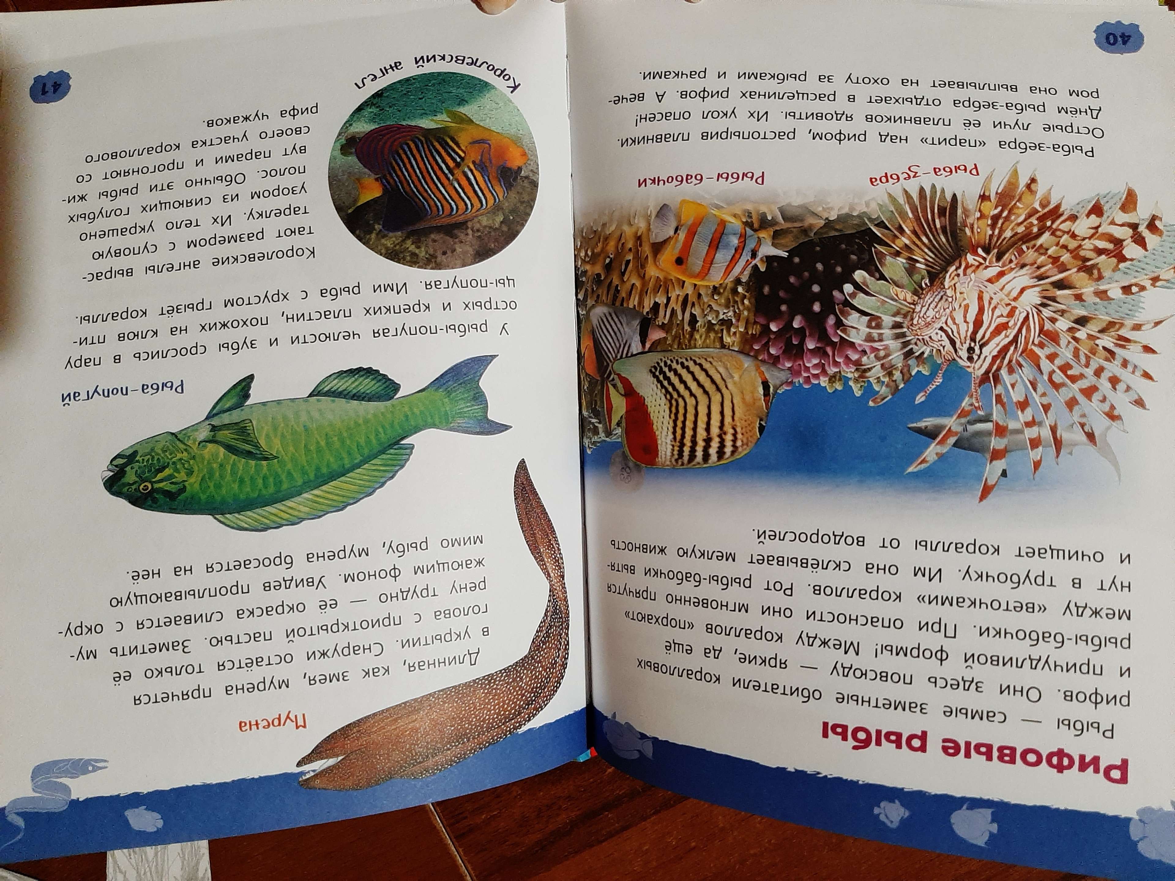 Фотография покупателя товара Энциклопедия для детского сада «Подводный мир»