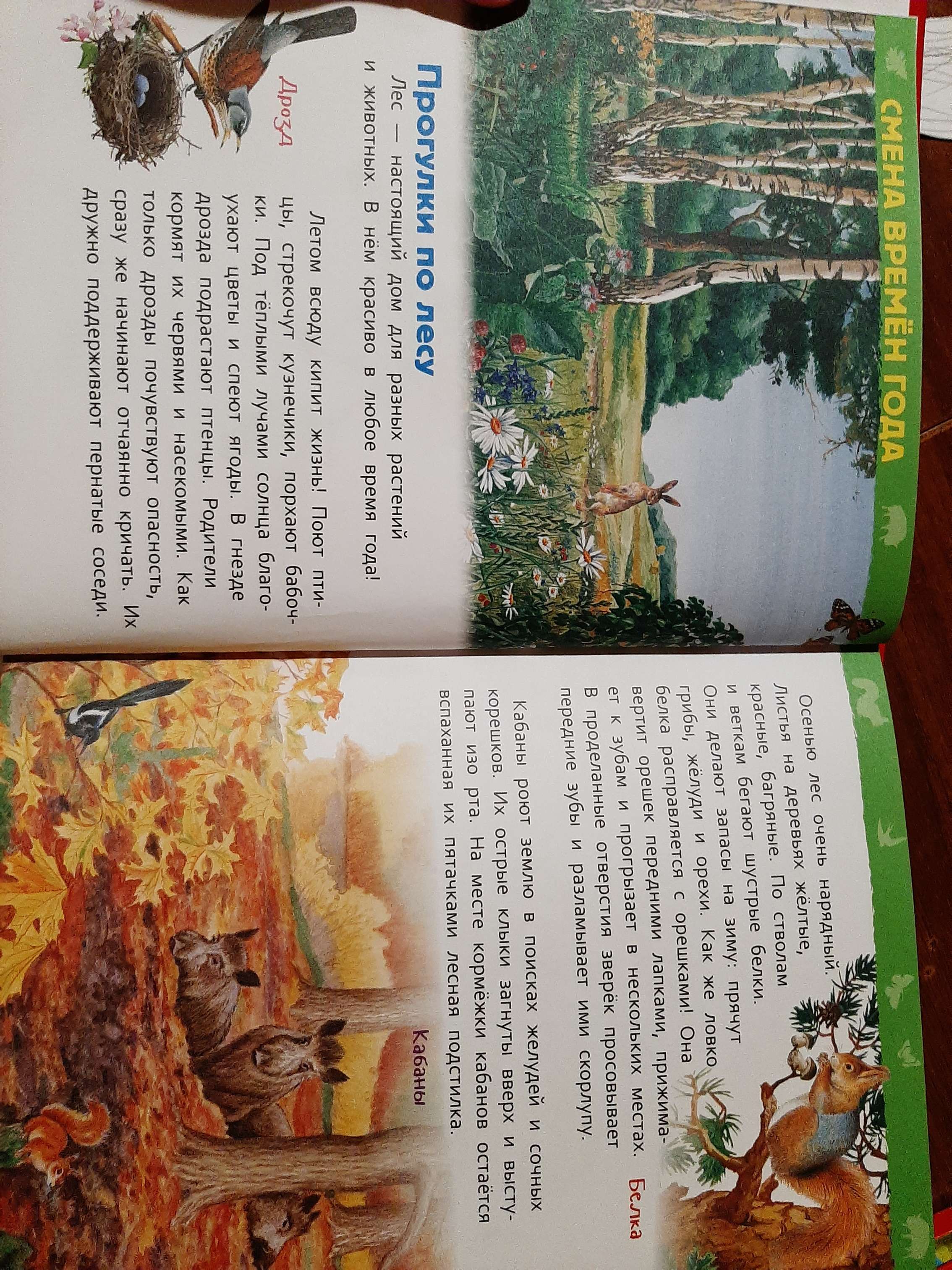 Фотография покупателя товара Энциклопедия для детского сада «В лесу»