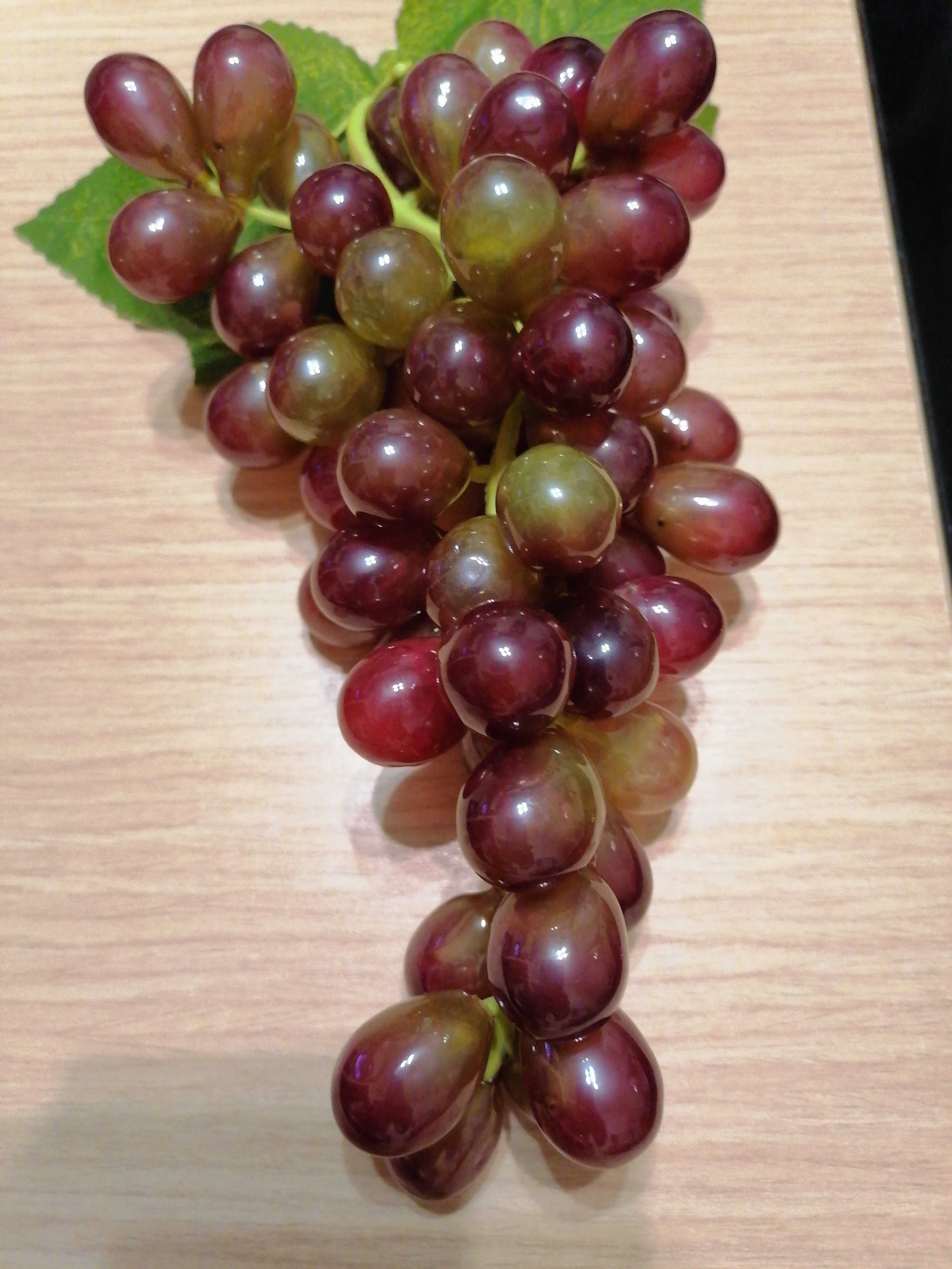Фотография покупателя товара Муляж "Виноград овальный" 24 см 60 ягод, микс
