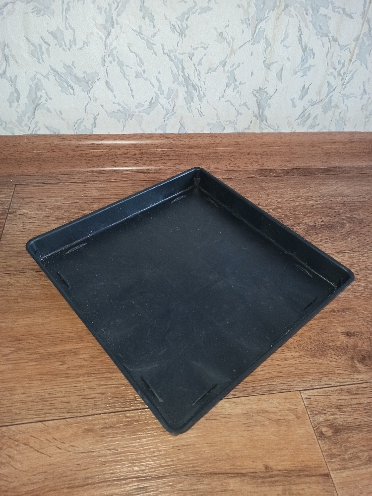 Фотография покупателя товара Поддон для рассады, 26.6 × 26.5 × 3 см, пластик, чёрный