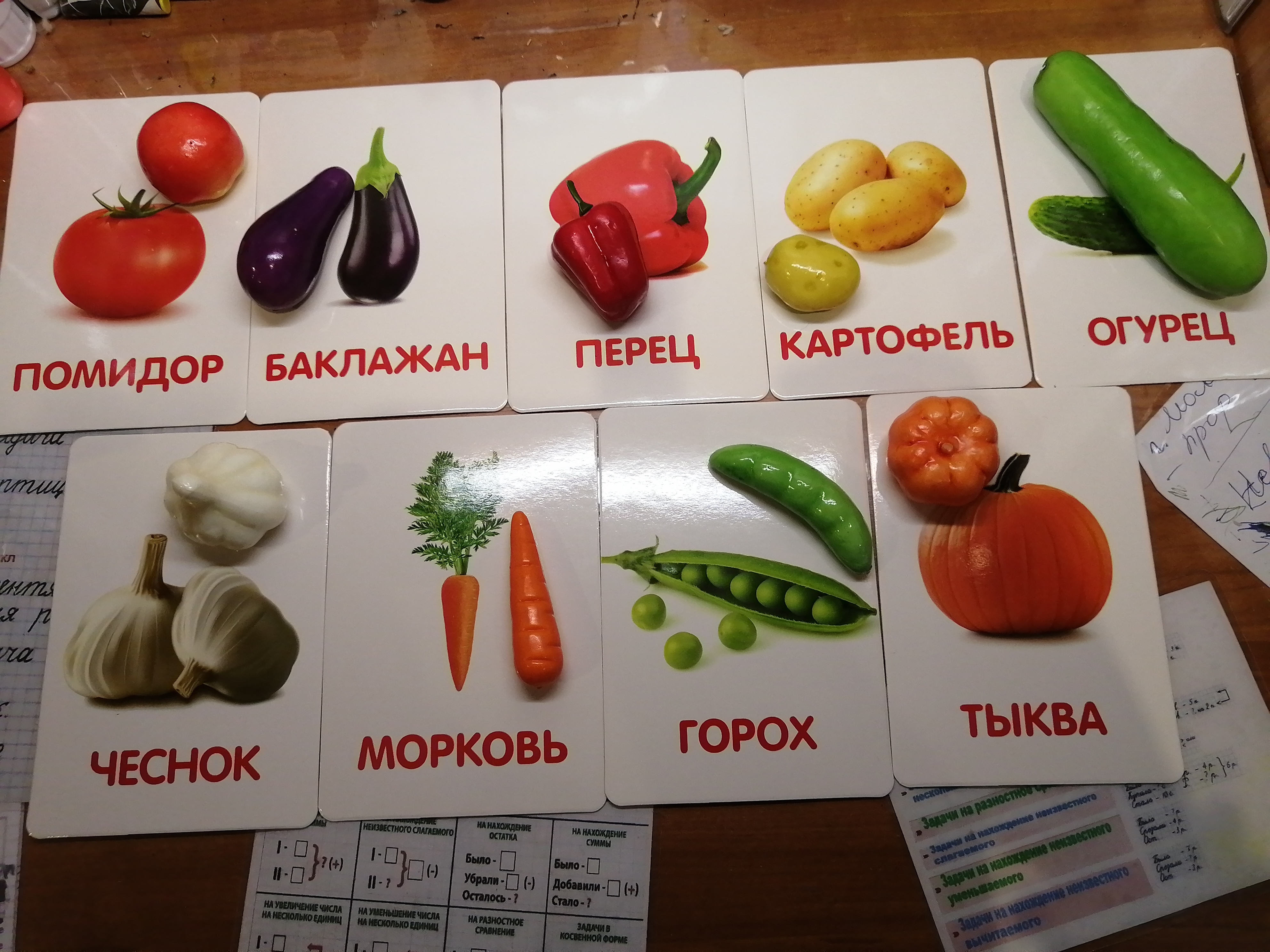 Фотография покупателя товара Обучающий набор по методике Г. Домана «Овощи»: 9 карточек + 9 овощей, счётный материал - Фото 11