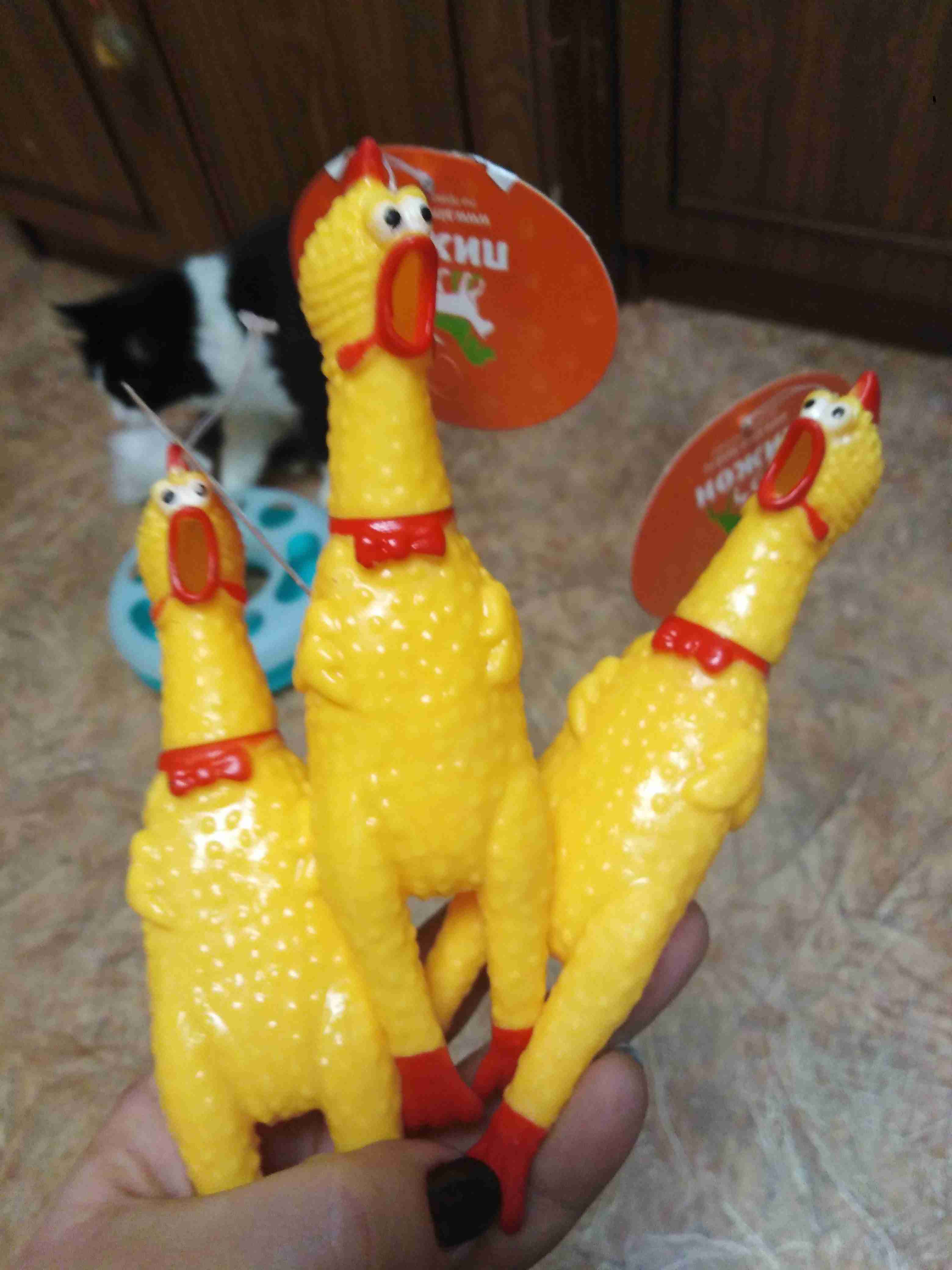 Фотография покупателя товара Игрушка пищащая "Задумчивая курица" малая для собак, 16,5 см, ярко-зелёная - Фото 18