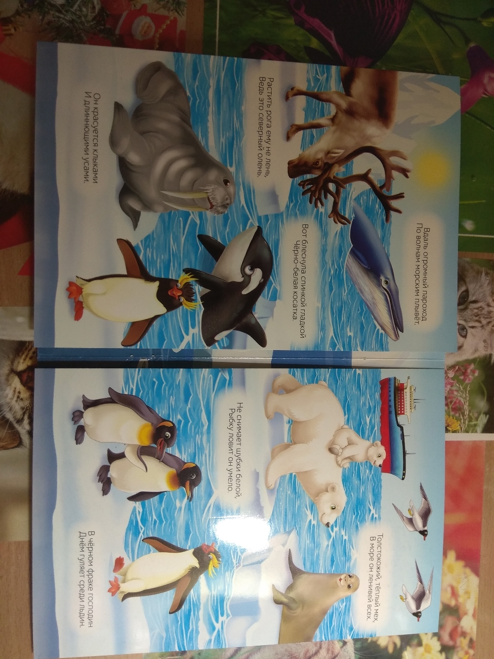 Фотография покупателя товара Наклейки многоразовые набор «Изучаем животных», 4 шт.
